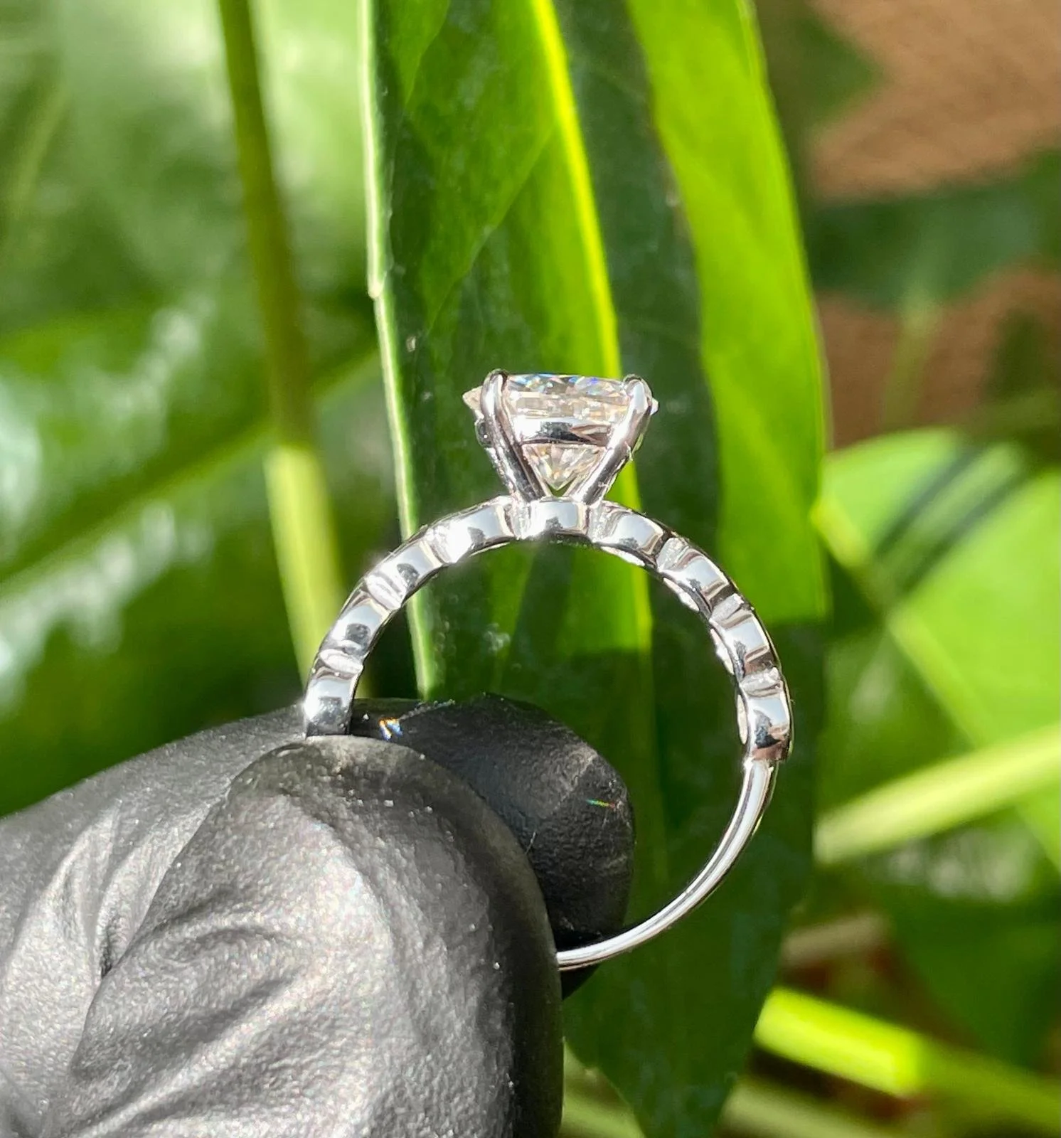 WhatsApp Image 2025-08-06 at 6.11.46 PM (3).jpeg