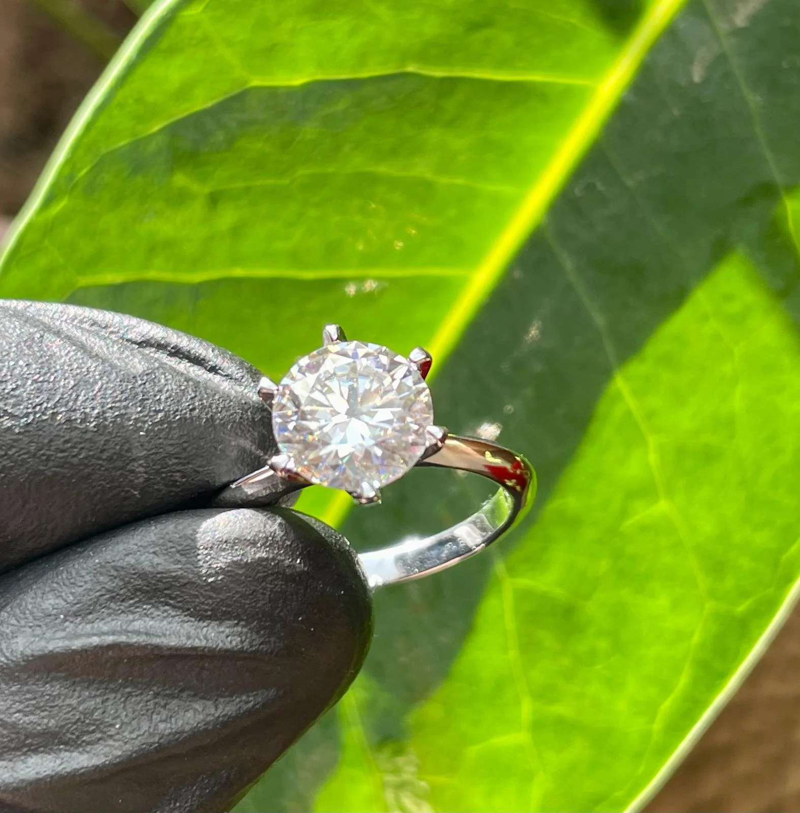 WhatsApp Image 2025-08-06 at 6.17.01 PM.jpeg