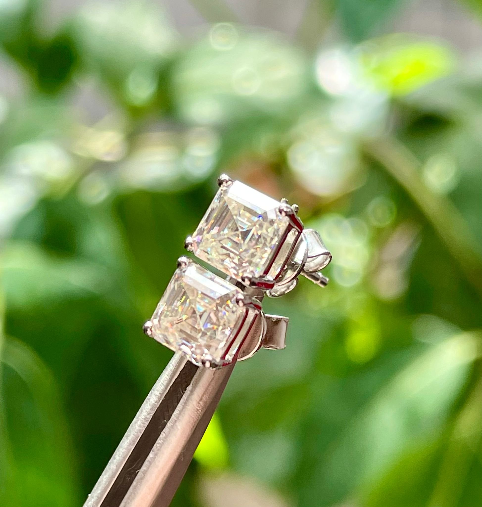 WhatsApp Image 2025-08-26 at 12.36.57 PM (4).jpeg