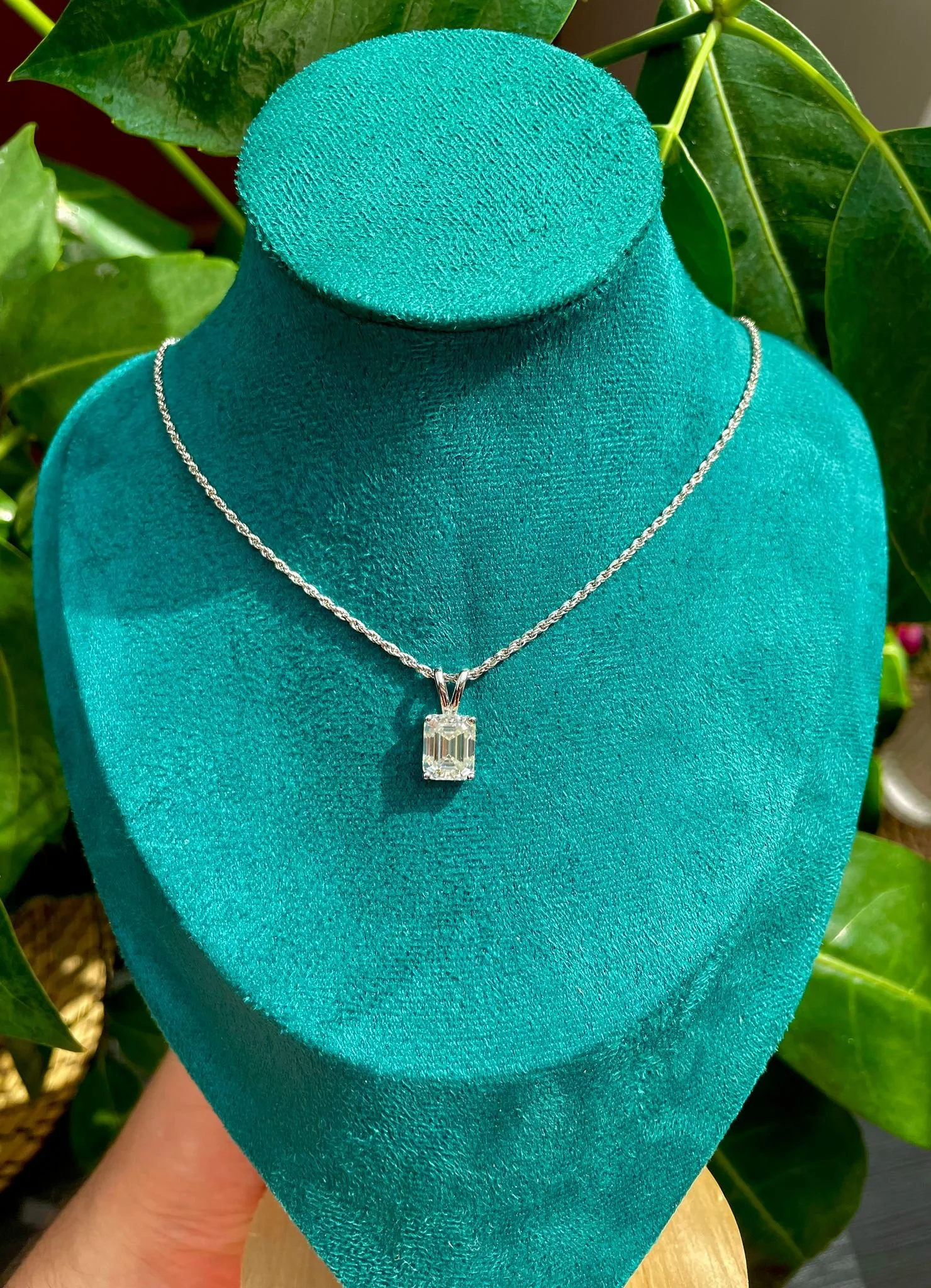 WhatsApp Image 2025-08-26 at 12.38.12 PM (1).jpeg