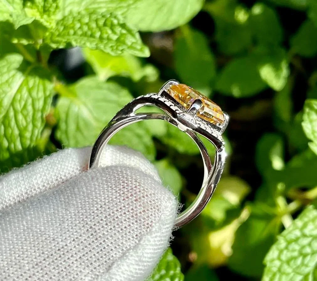 WhatsApp Image 2025-07-25 at 1.01.35 AM (2).jpeg