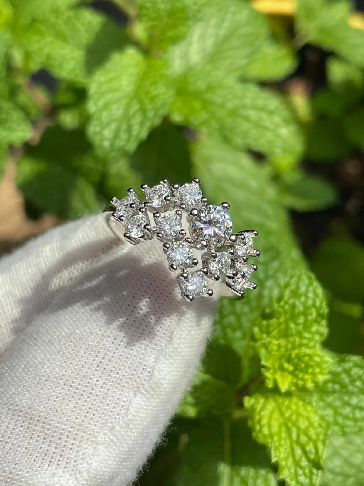 A silver ring with multiple small diamonds arranged in a cluster design, held by a white gloved hand against green leaves.