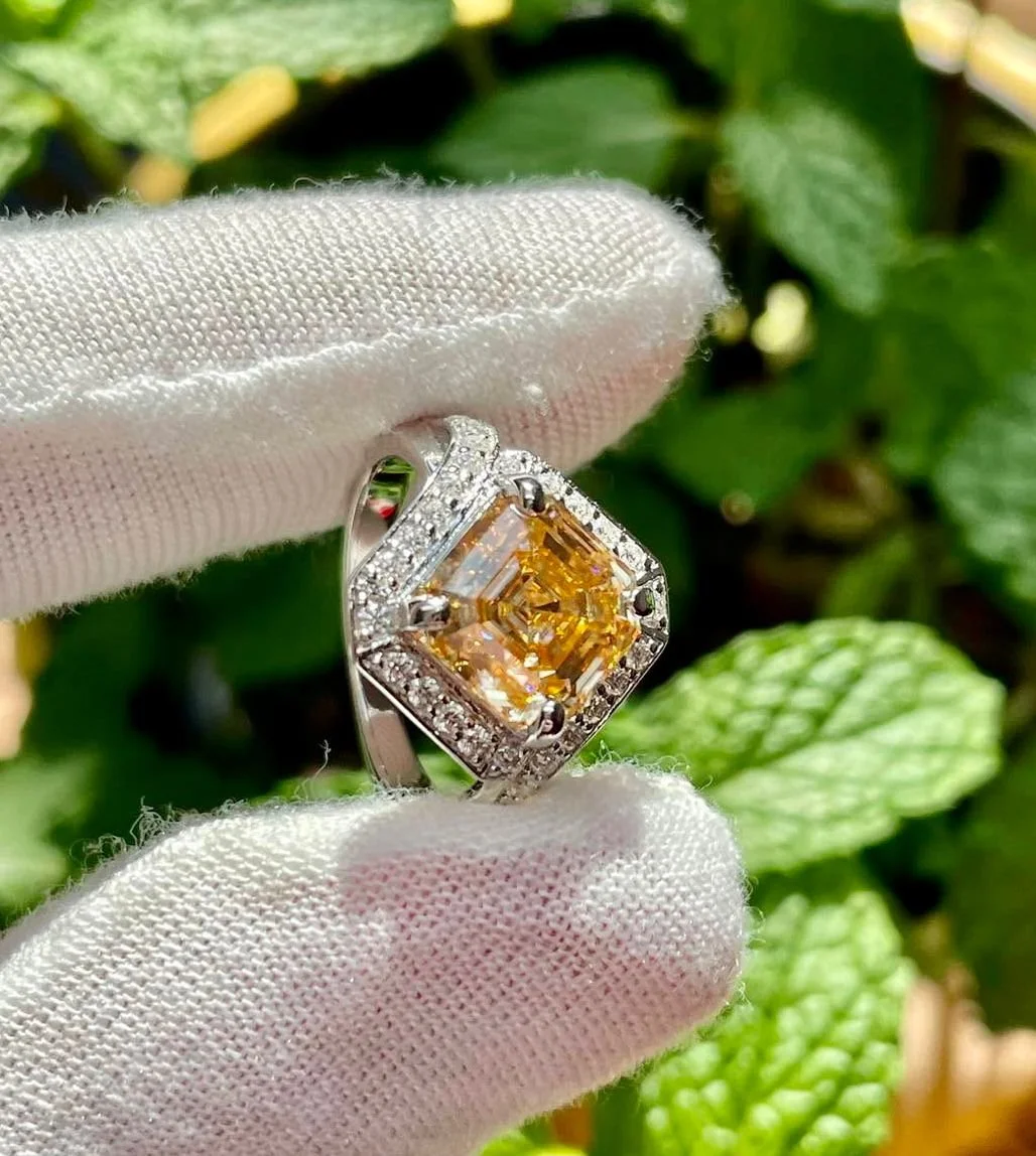 WhatsApp Image 2025-07-25 at 1.01.35 AM (6).jpeg