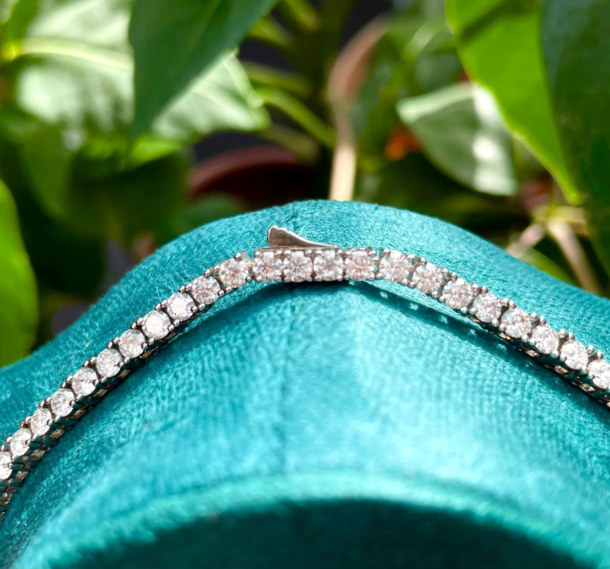 WhatsApp Image 2025-08-26 at 12.37.40 PM.jpeg