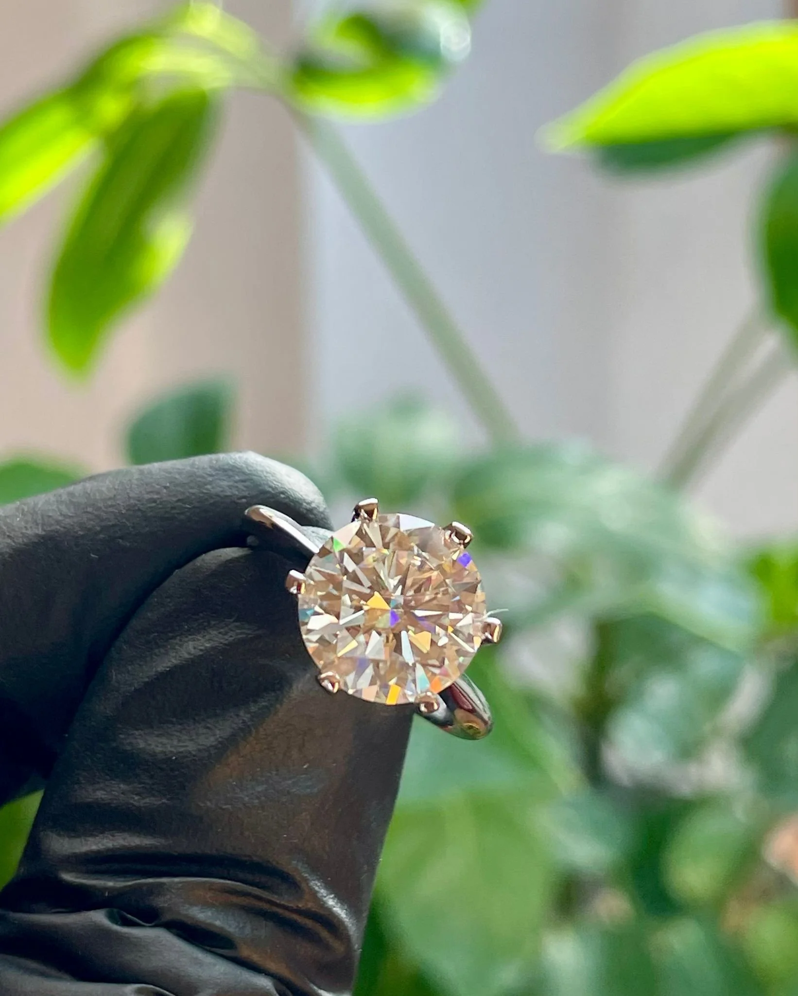 WhatsApp Image 2025-08-06 at 6.51.51 PM (2).jpeg