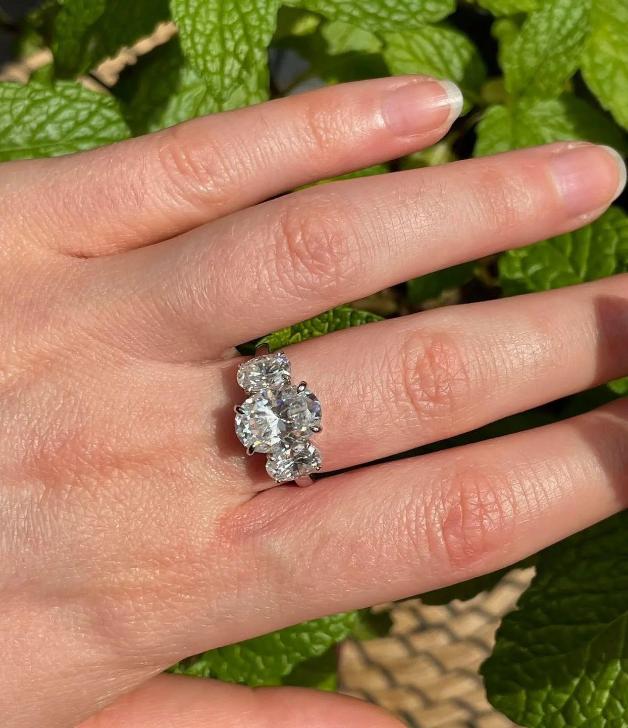 WhatsApp Image 2025-07-24 at 11.30.25 PM (2).jpeg