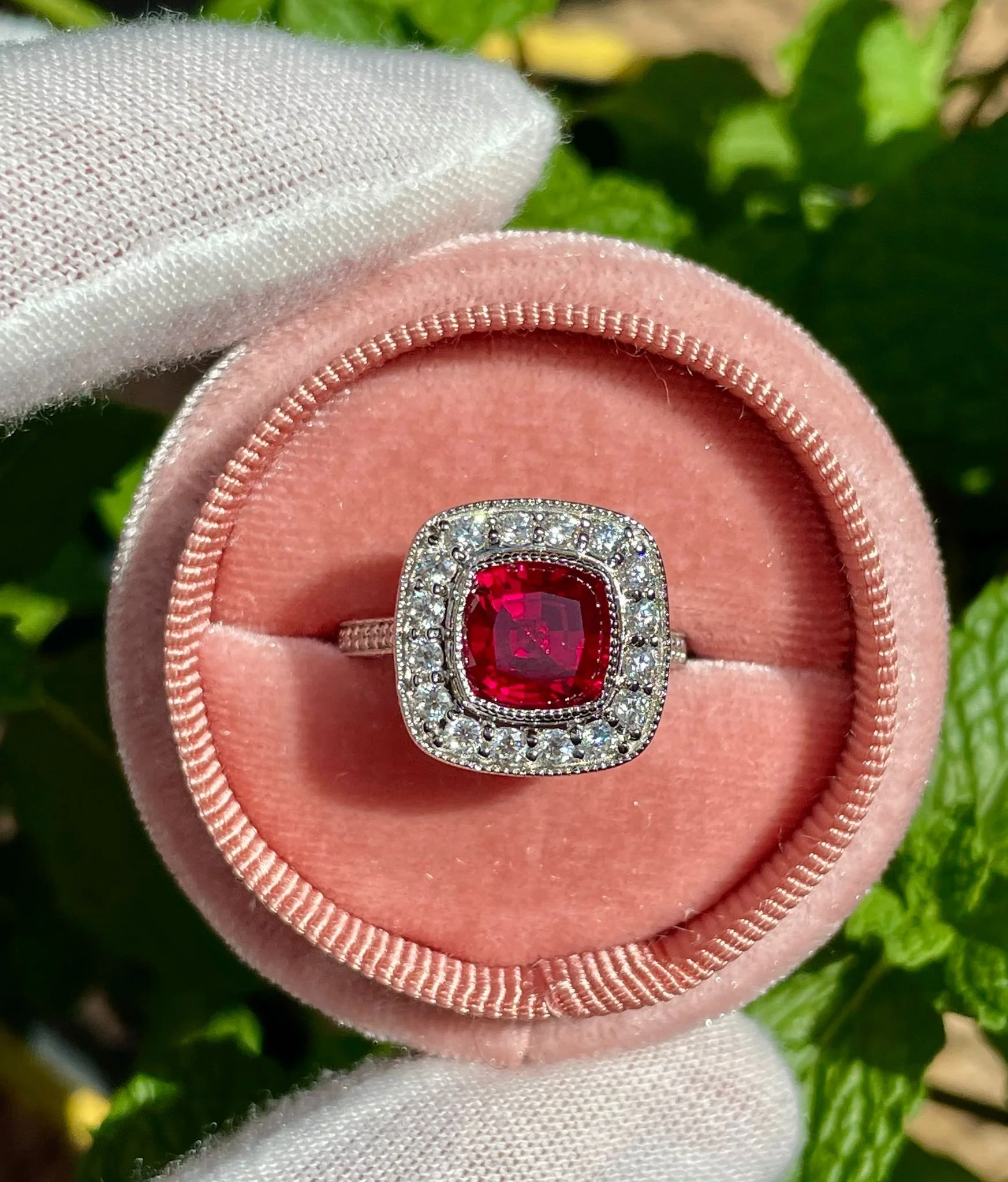 WhatsApp Image 2025-07-25 at 12.55.21 AM (3).jpeg