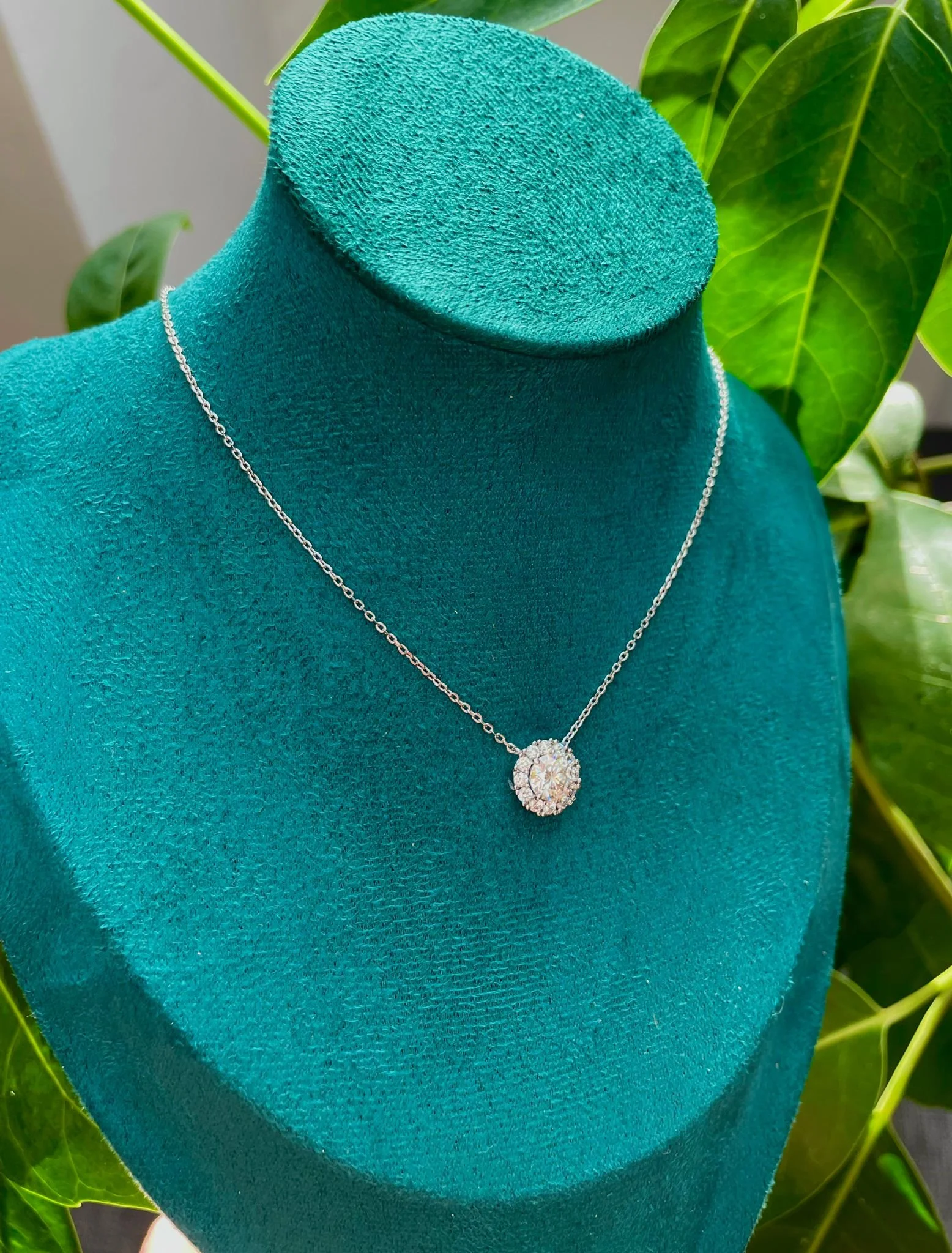 WhatsApp Image 2025-08-26 at 12.37.53 PM.jpeg