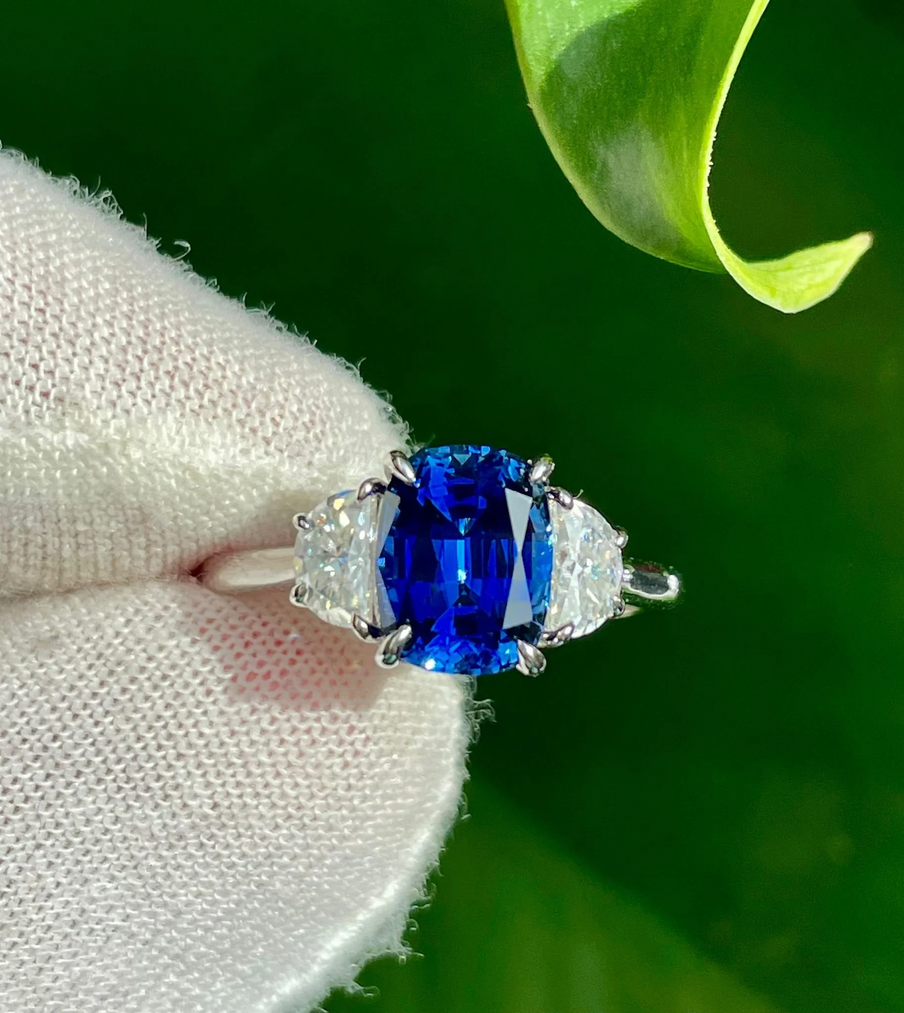 WhatsApp Image 2025-07-25 at 12.55.04 AM (3).jpeg