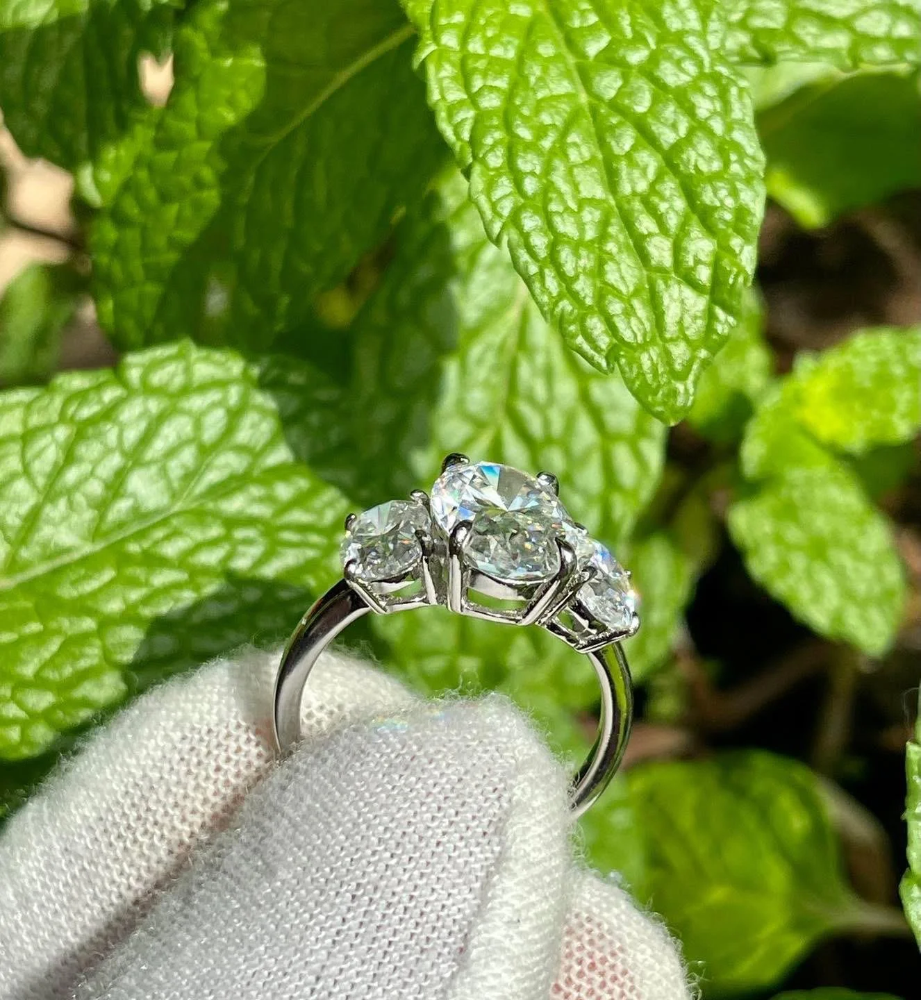 WhatsApp Image 2025-07-24 at 11.30.25 PM (1).jpeg