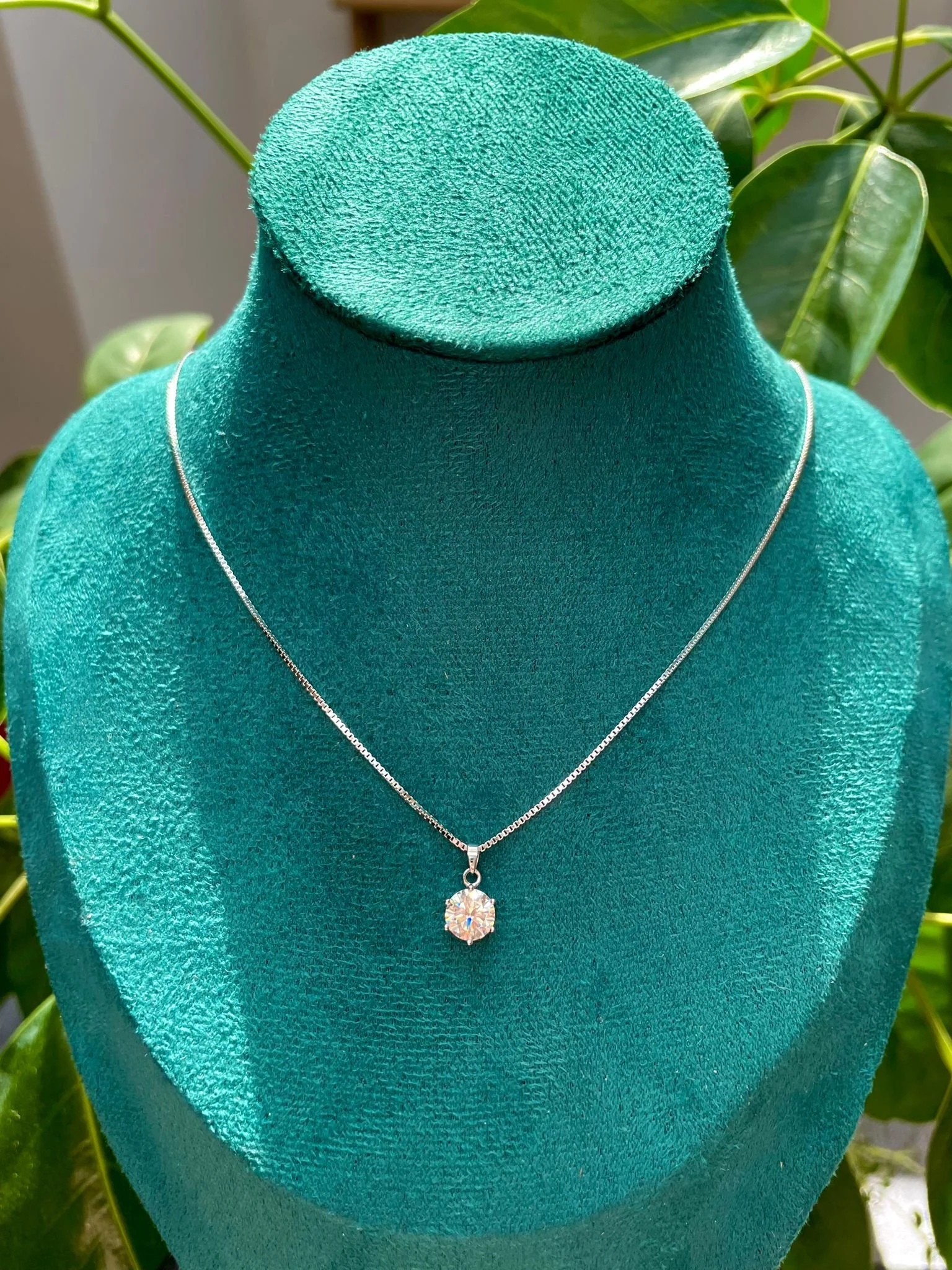 WhatsApp Image 2025-08-26 at 12.38.36 PM.jpeg