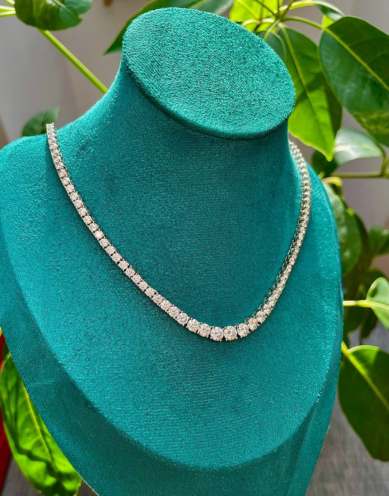 WhatsApp Image 2025-08-26 at 12.37.39 PM (1).jpeg