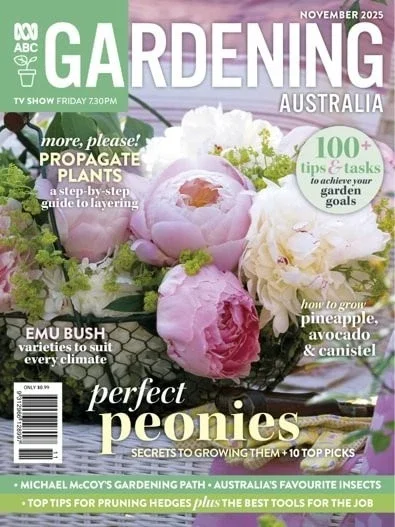 Exotic living abc gardening Australia feature, best emerging designer