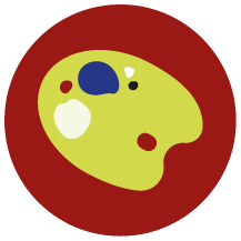 Palette de peinture avec différentes couleurs.