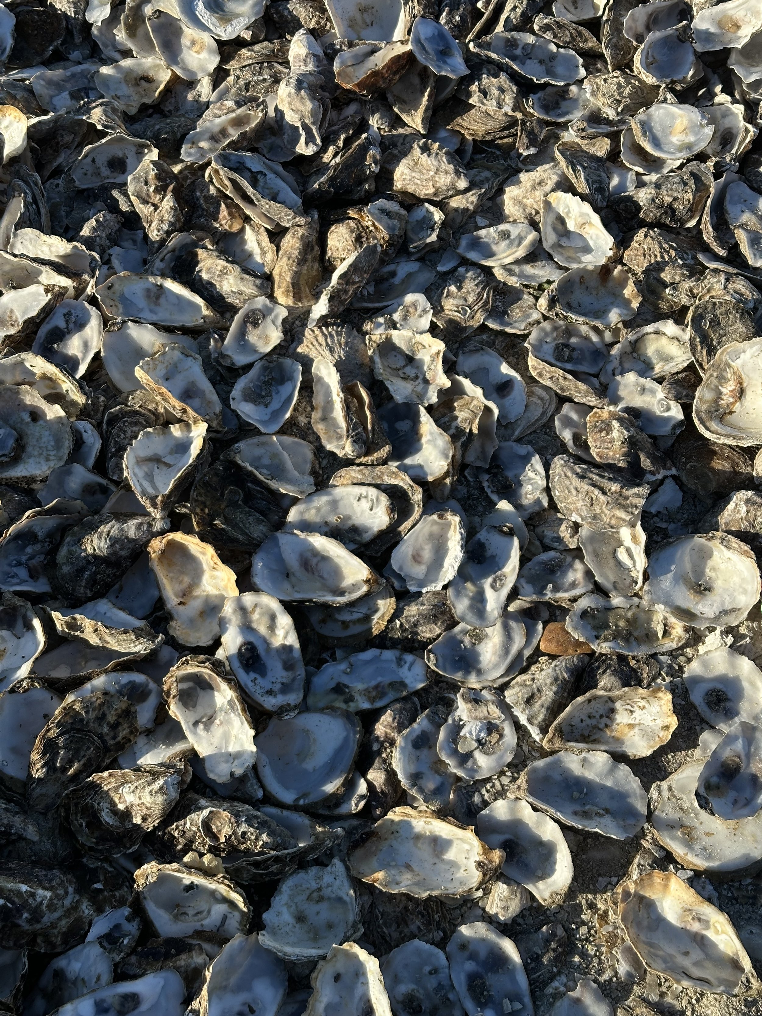 2026: the year of quietly doing good