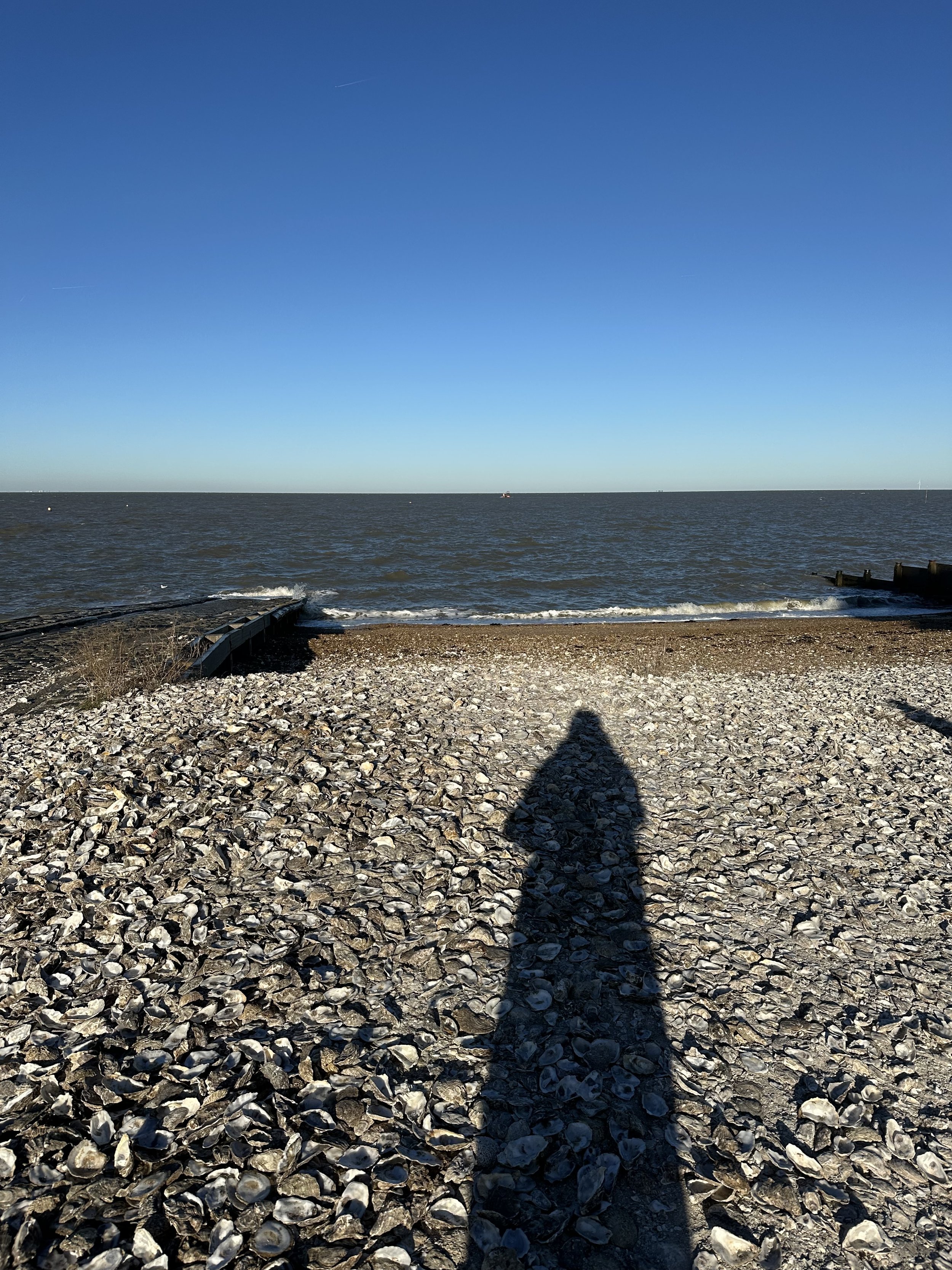 Sunlit rocky beach with a shadow of a person taking a photo, leading to the ocean and clear blue sky in the background.