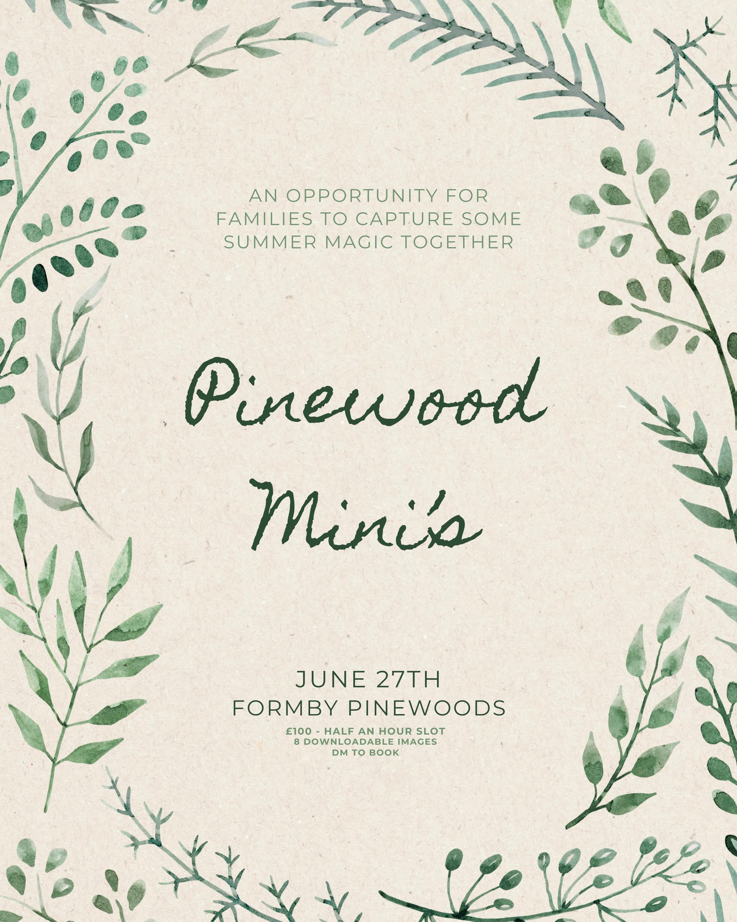 Pinewood Mini&rsquo;s 📸🌲☀️🌿🪵🍄🐿️
DM to book!