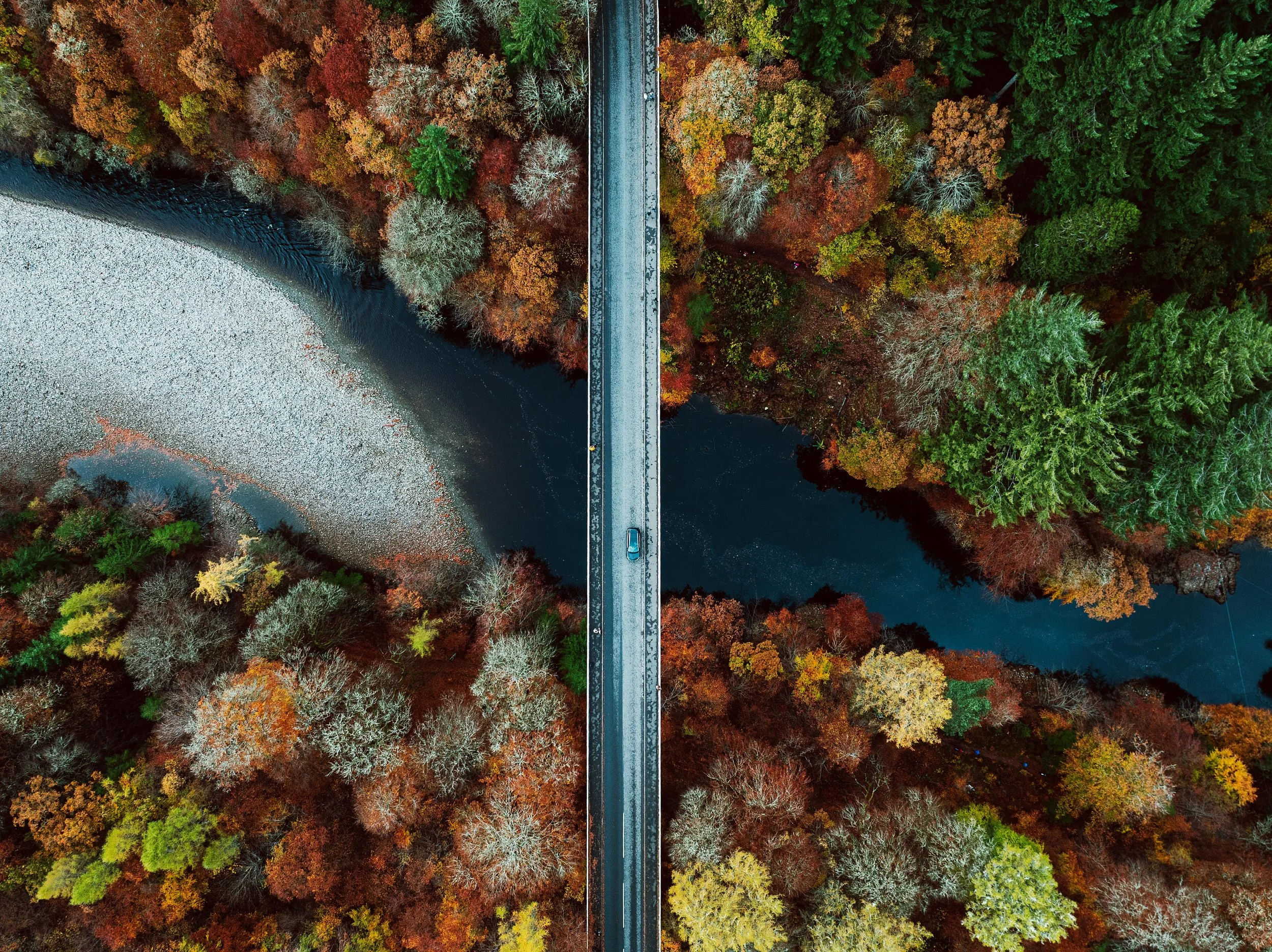 Redefining Success: Why Forestry MUST Adapt