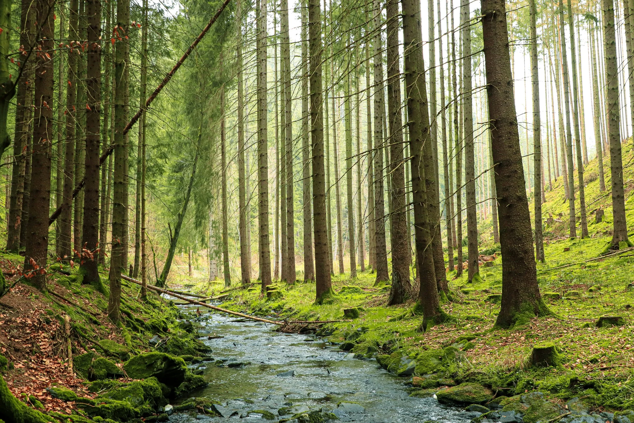 Water, Ready For Action: Lessons From The Dava Wildfire