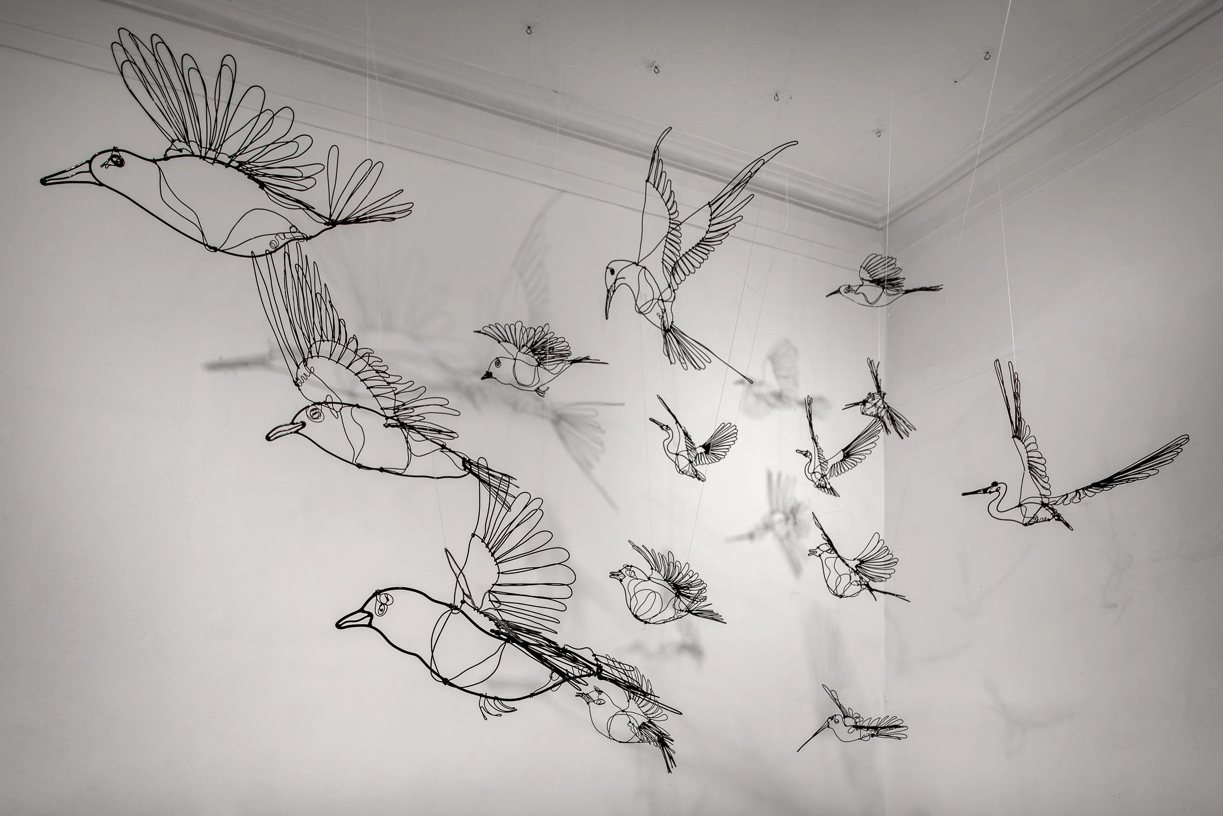 GB_Estudio San Miguel Chapultepec-03.jpg