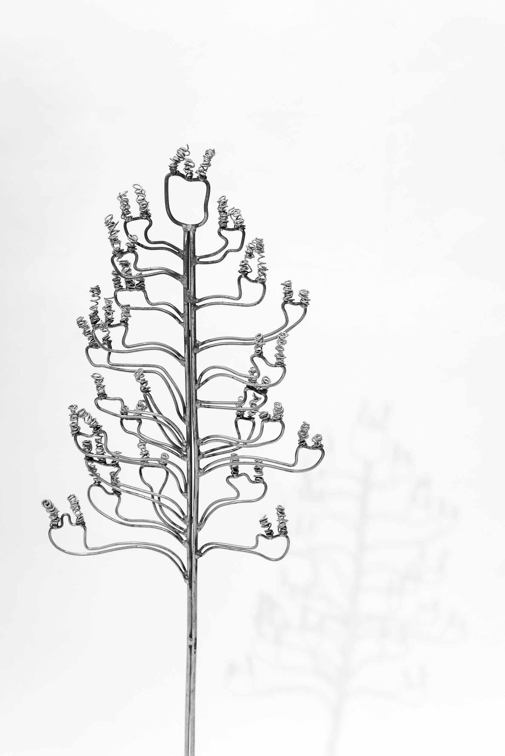 GB_Estudio San Miguel Chapultepec-84.jpg