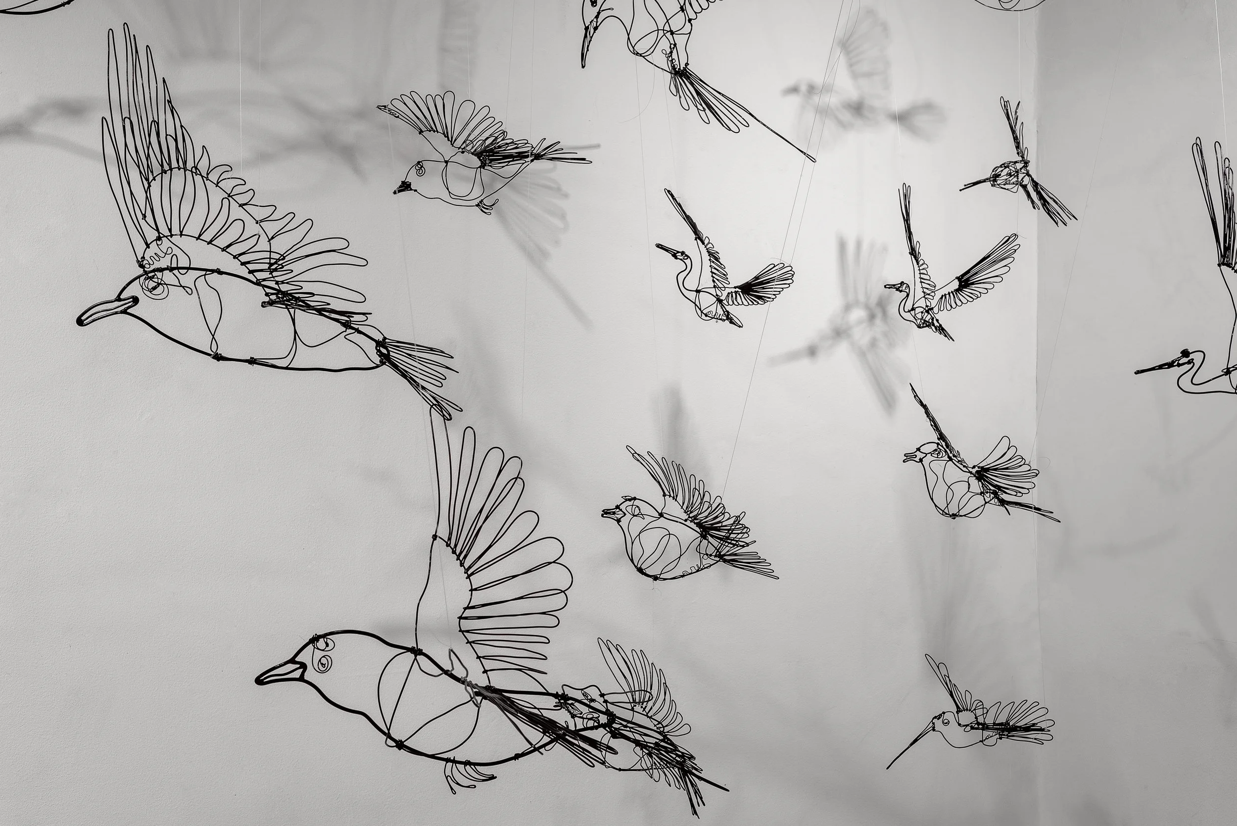 GB_Estudio San Miguel Chapultepec-04.jpg