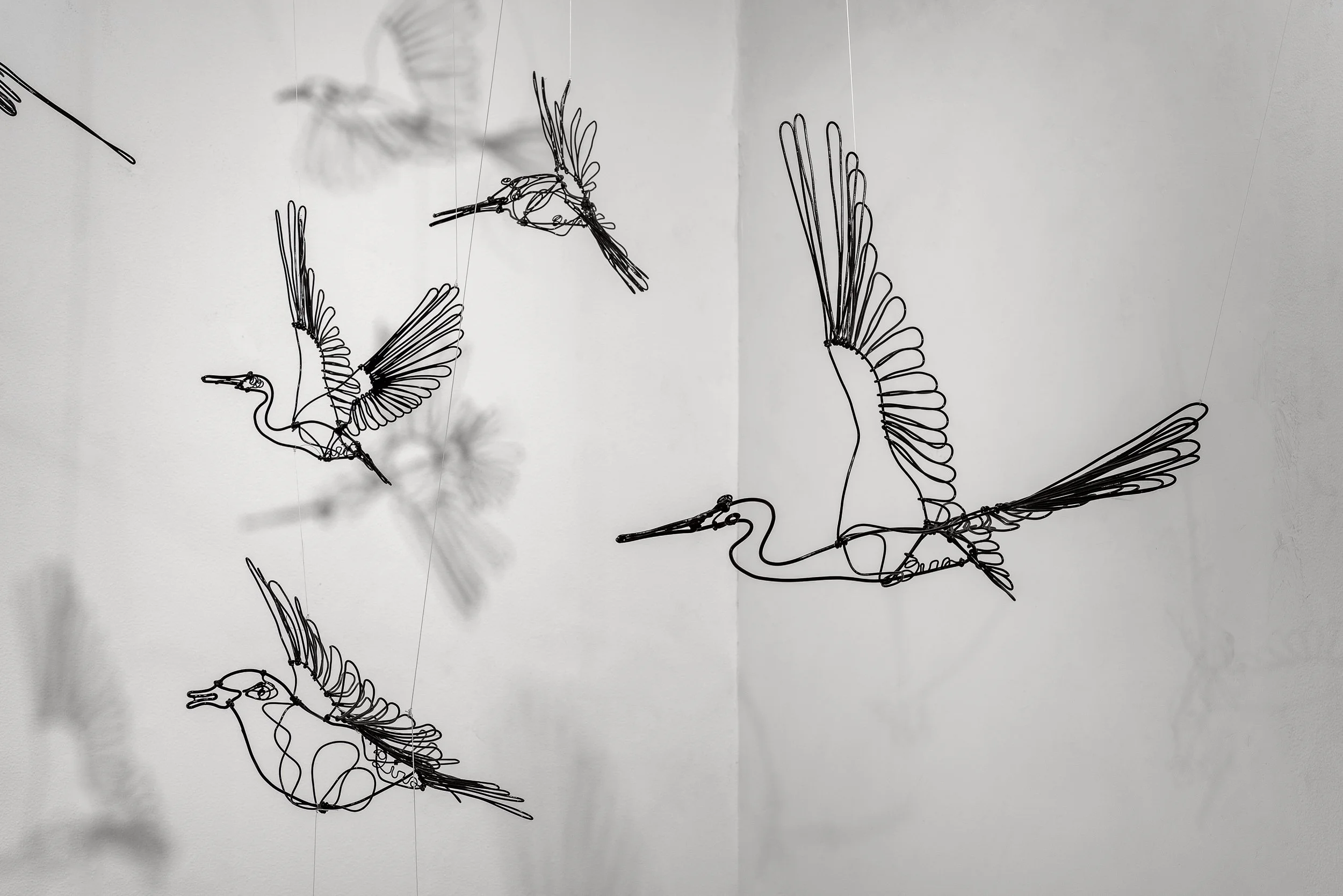 GB_Estudio San Miguel Chapultepec-05.jpg