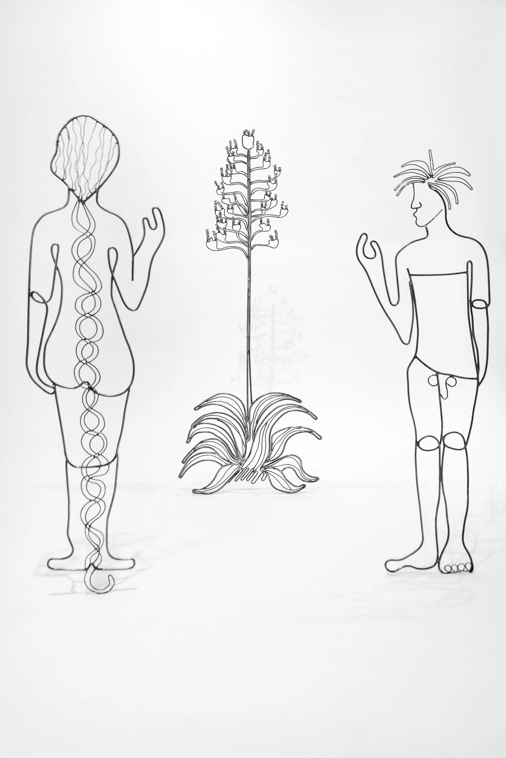 GB_Estudio San Miguel Chapultepec-83.jpg