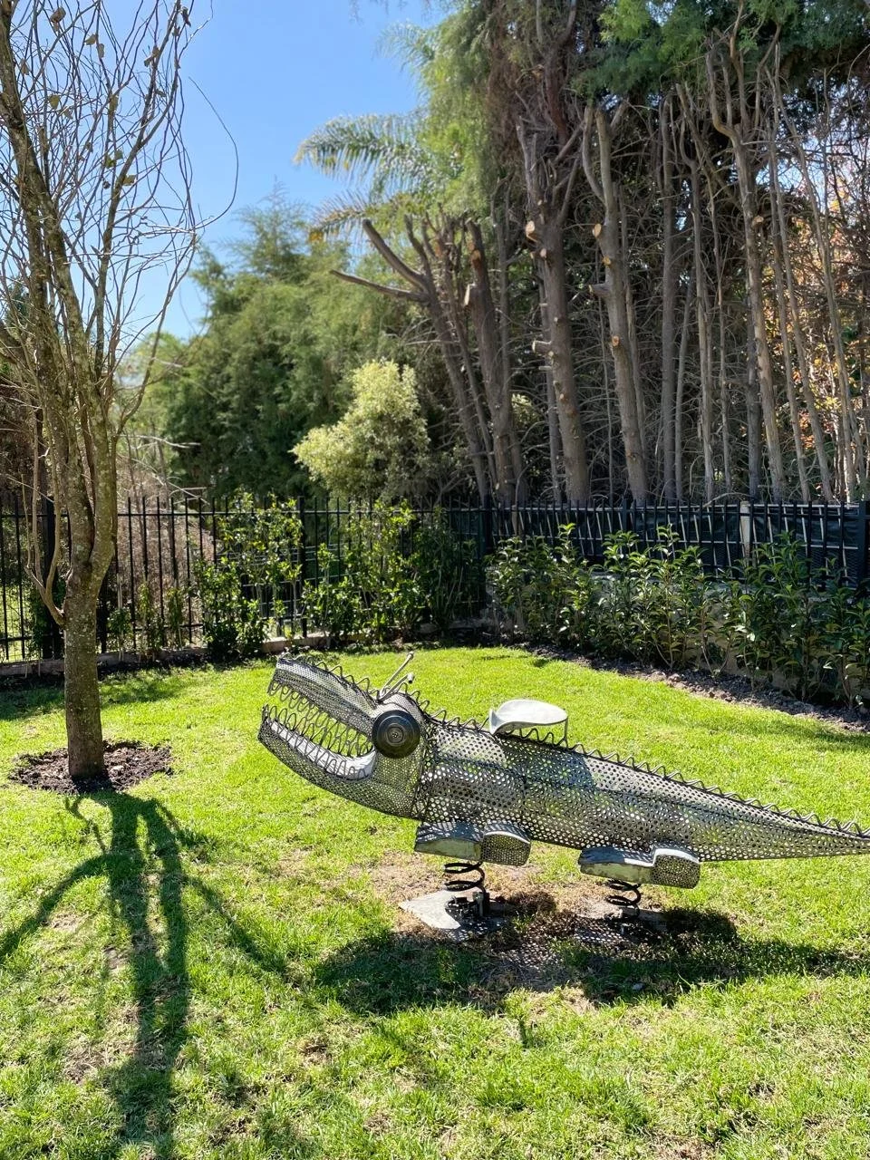 PHOTO-2026-01-14-13-44-19 6.jpg