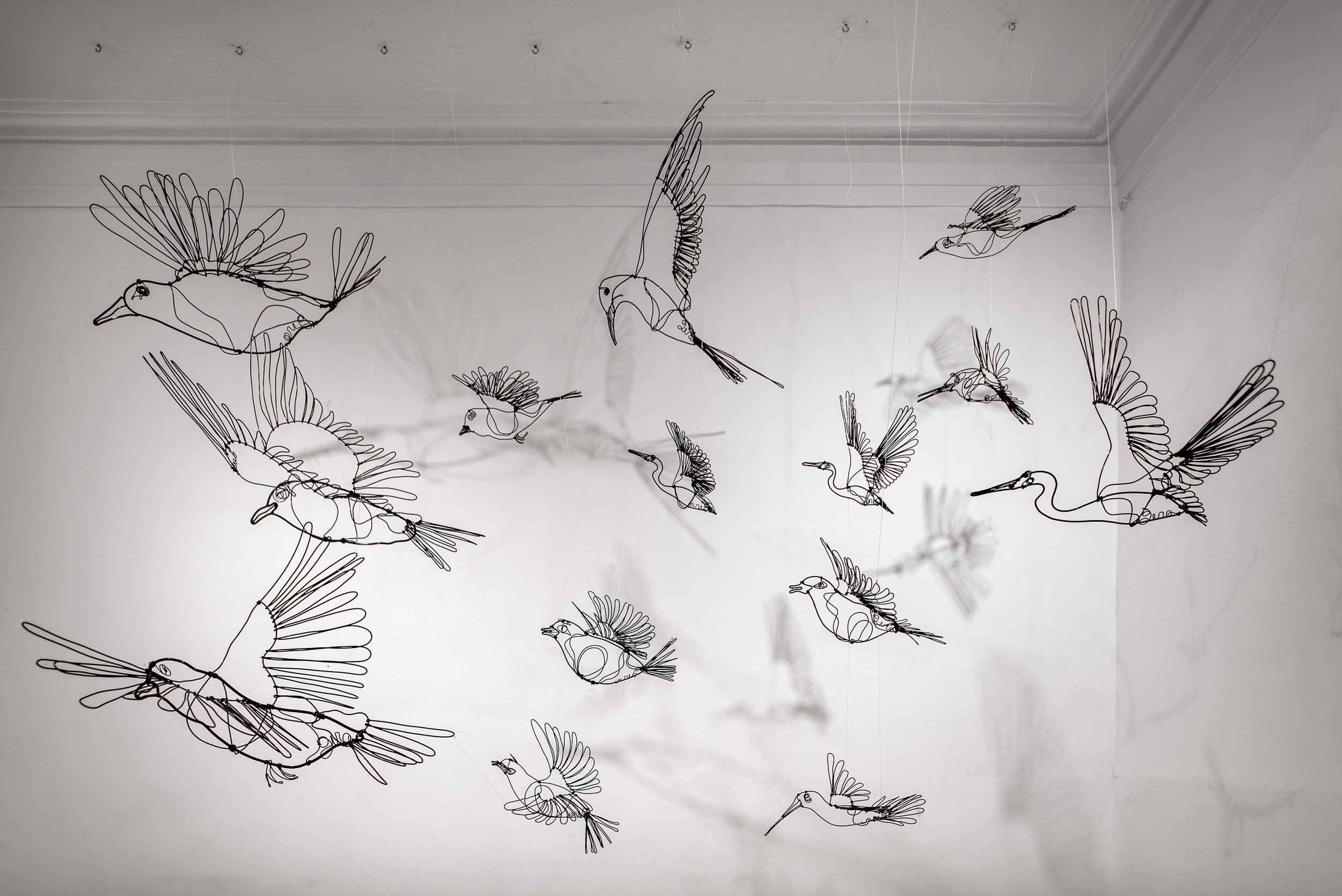 GB_Estudio San Miguel Chapultepec-02.jpg