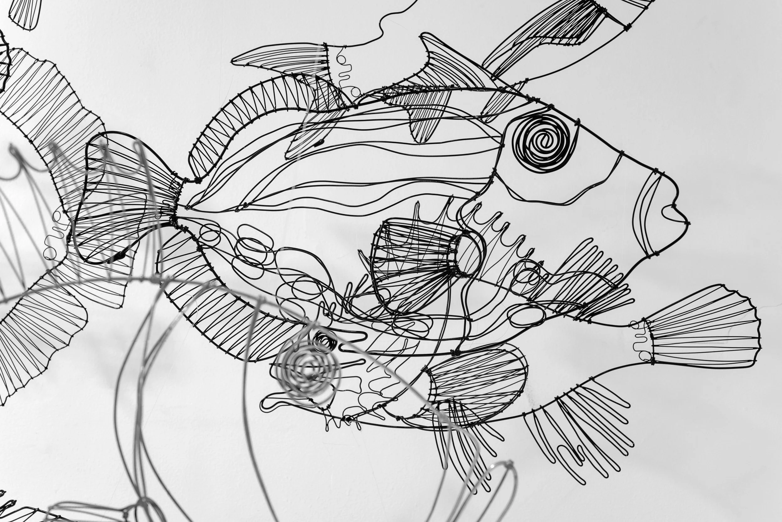 GB_Estudio San Miguel Chapultepec-28.jpg