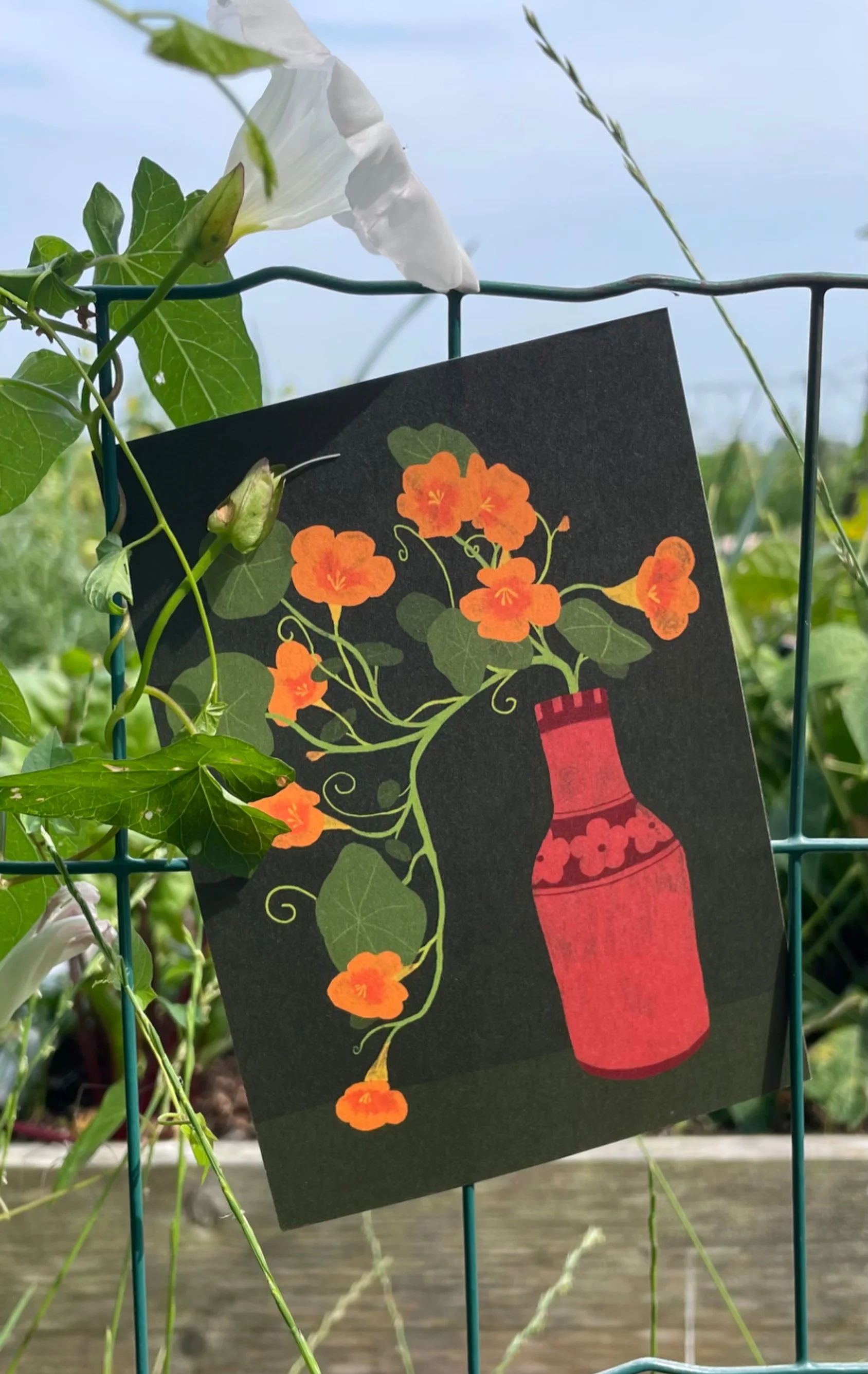 IMG_5403_edited.jpg (Copy)