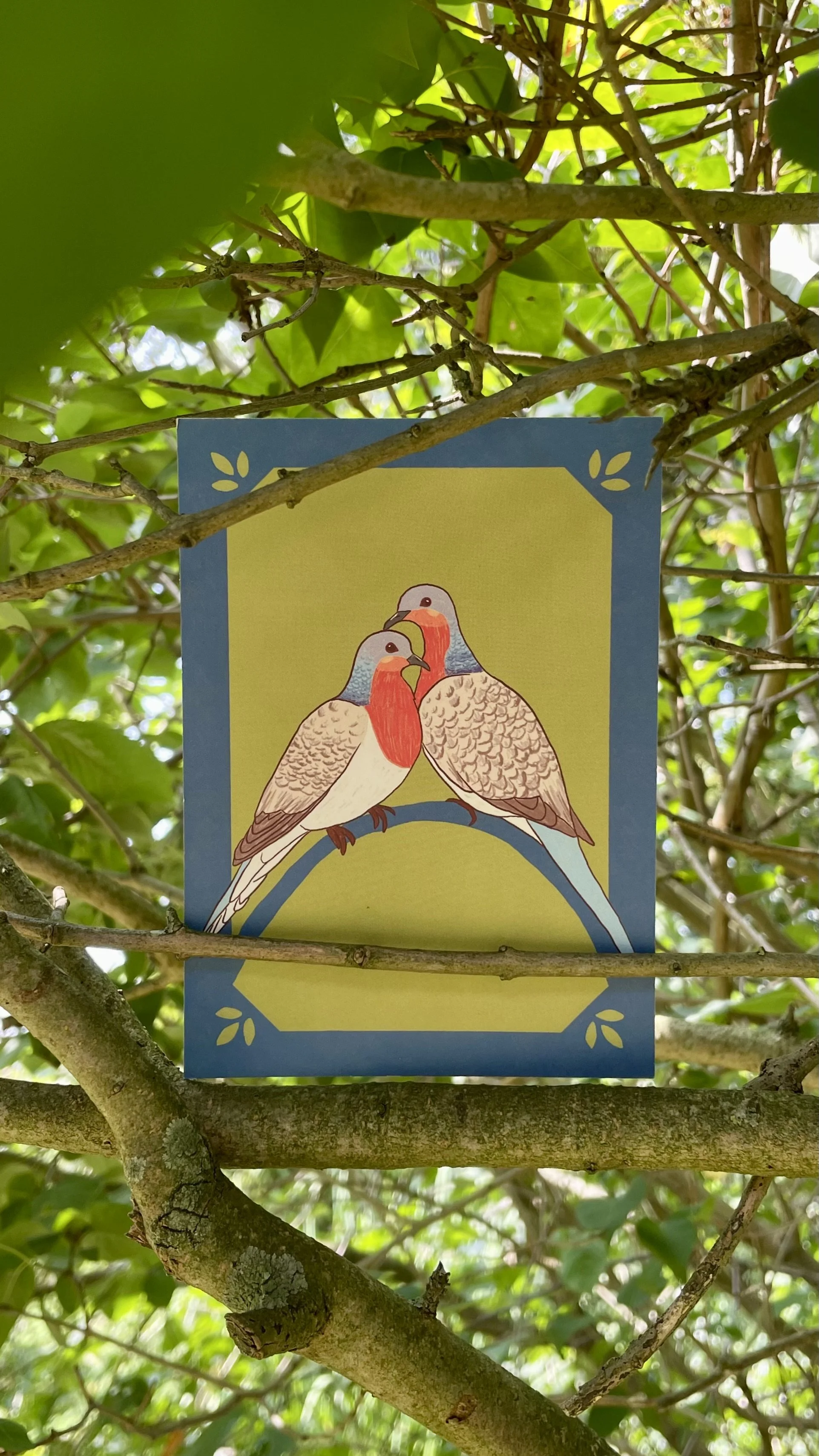 Kleurrijke duiven (A6, Kaartje)