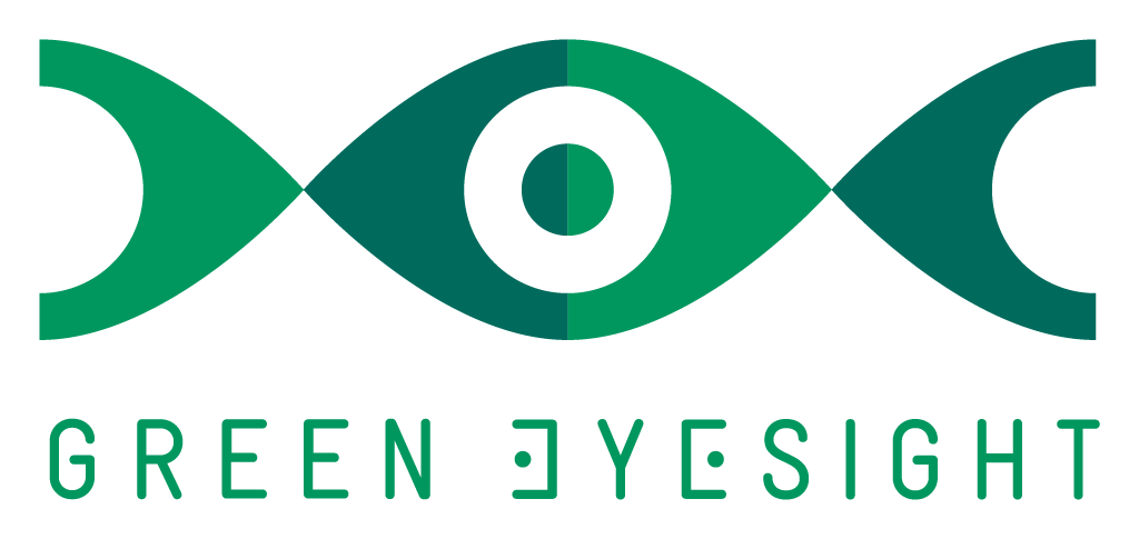 Green EyeSight Drone