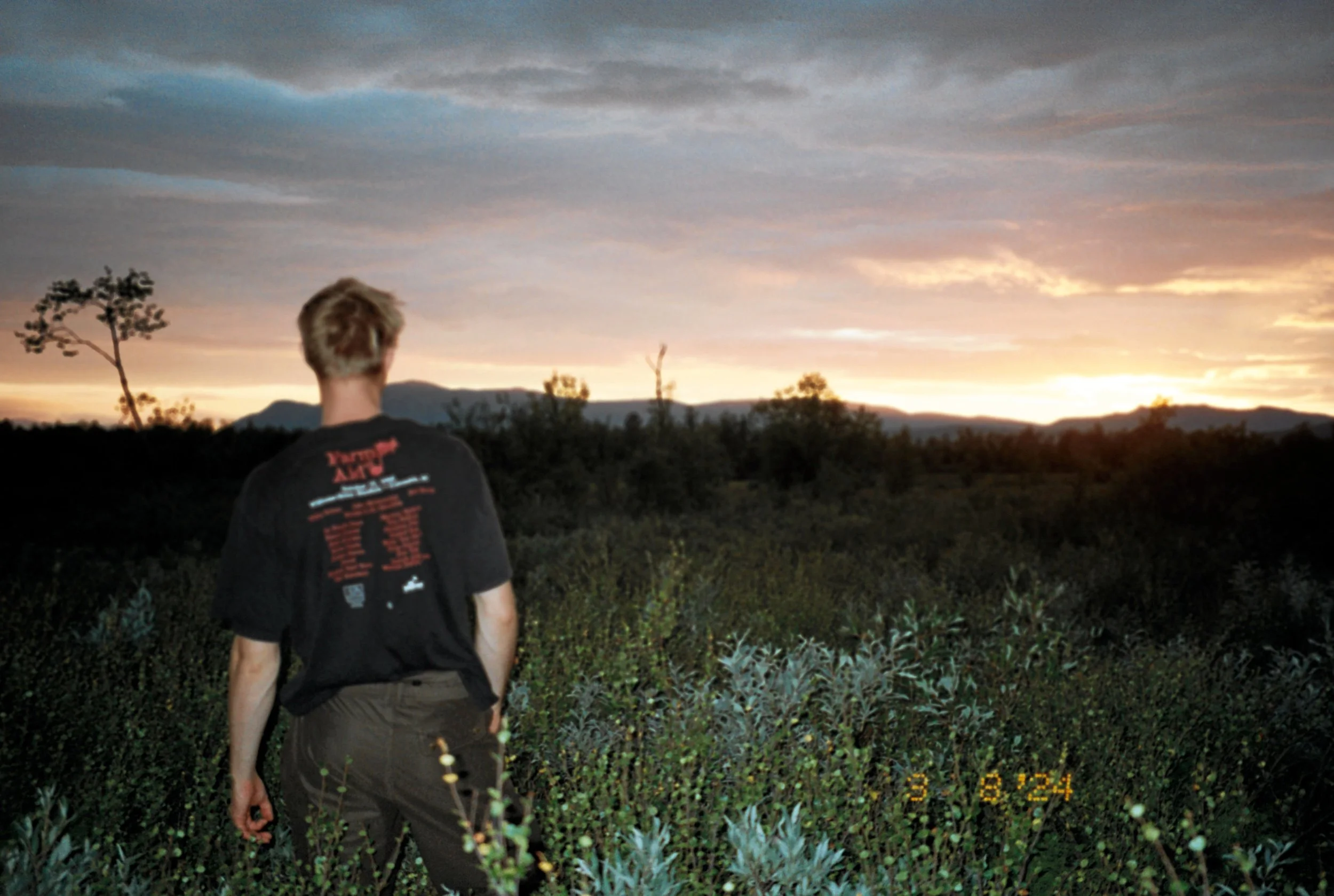 Person with short blonde hair in Norway stands in a field of green plants, facing away, watching a sunset over mountains and an overcast sky.