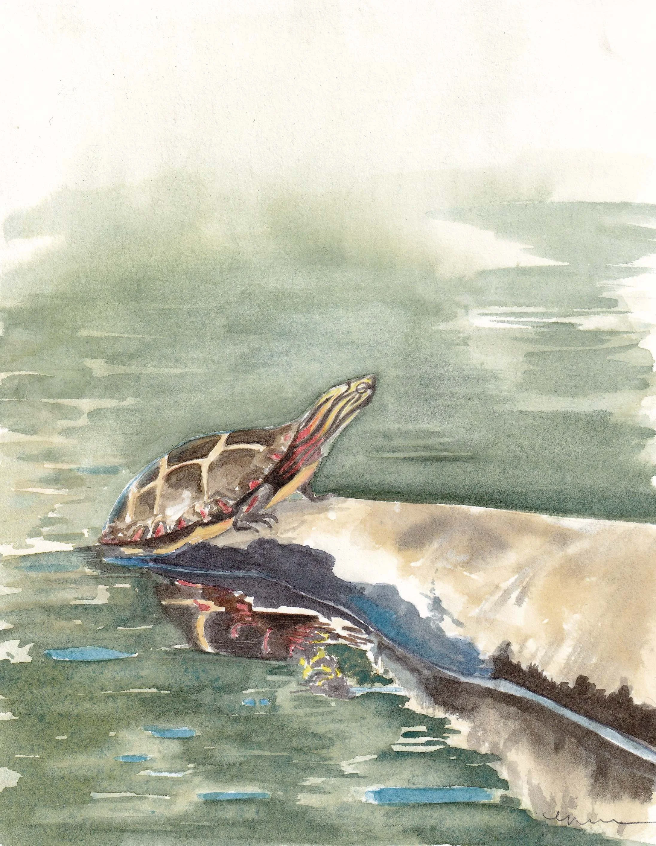 The Art of Arrival (and a painted turtle)