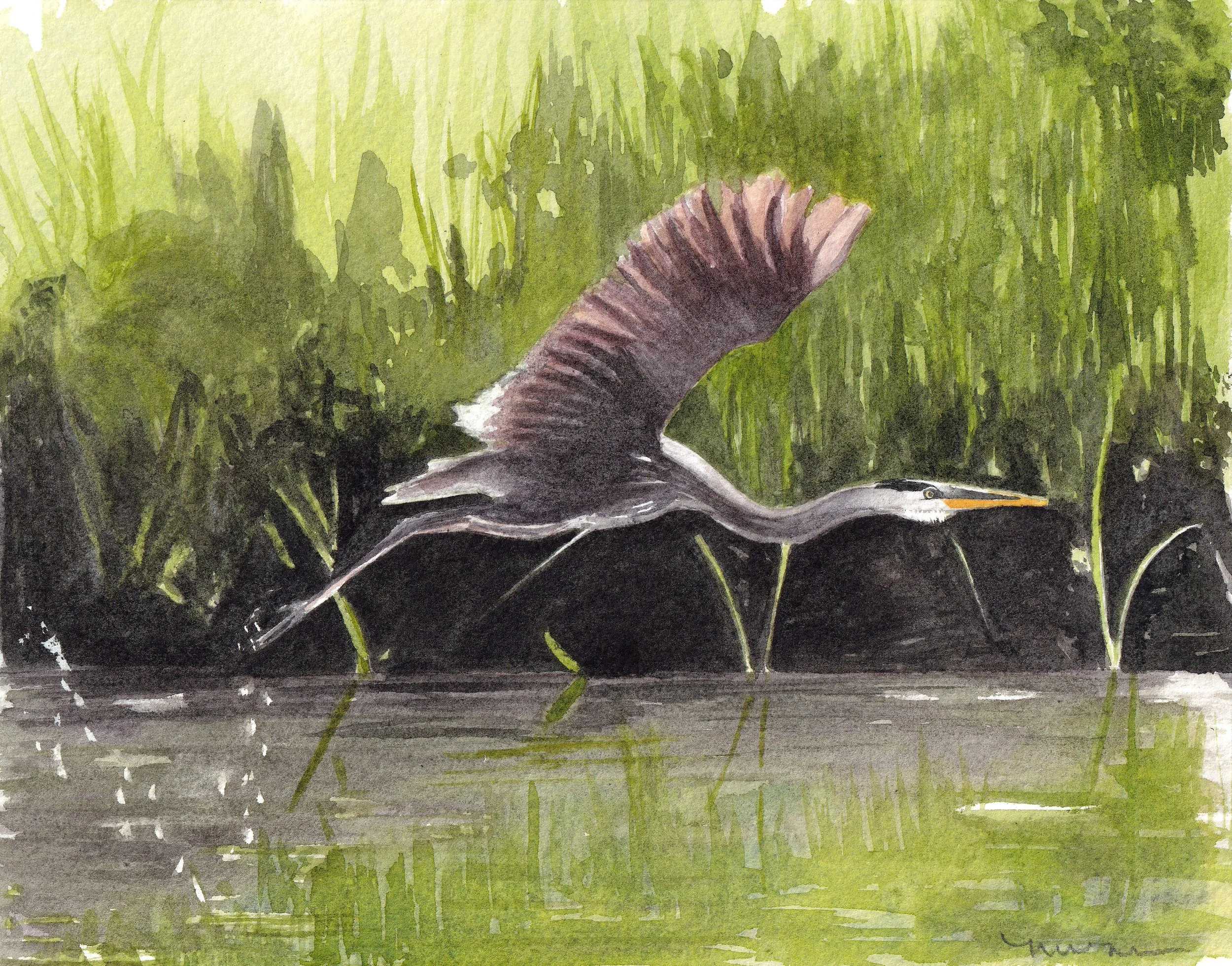 Still Frogs, Still Herons