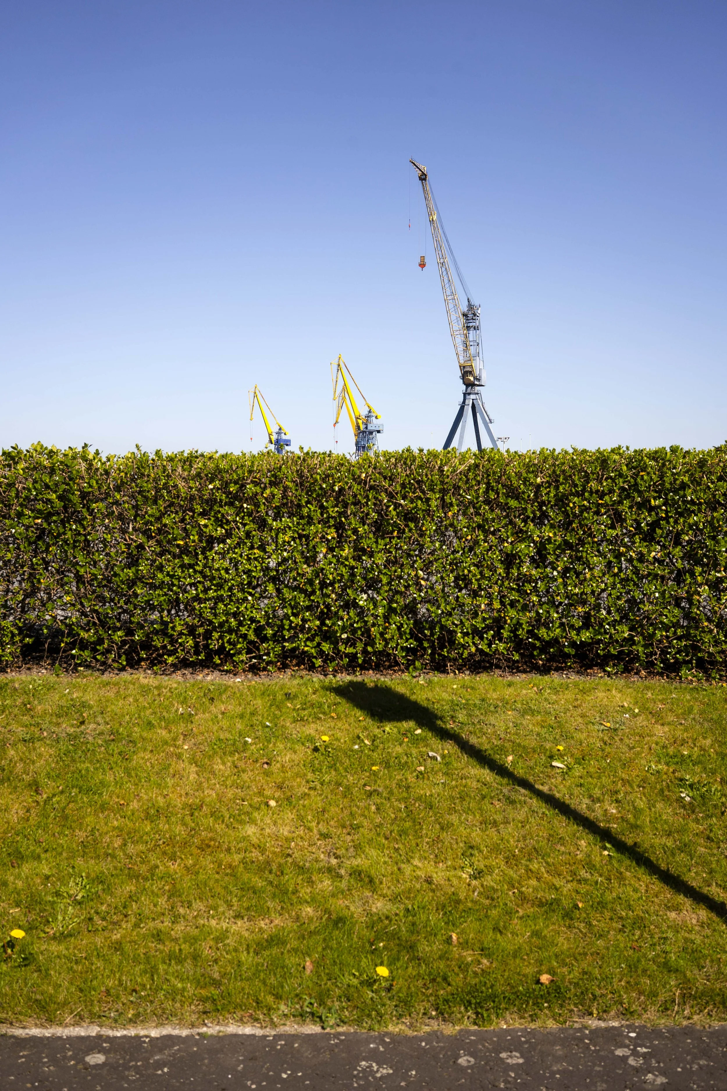 2025-04-03-06 Belfast, Giant's Causeway (51) copia.JPG
