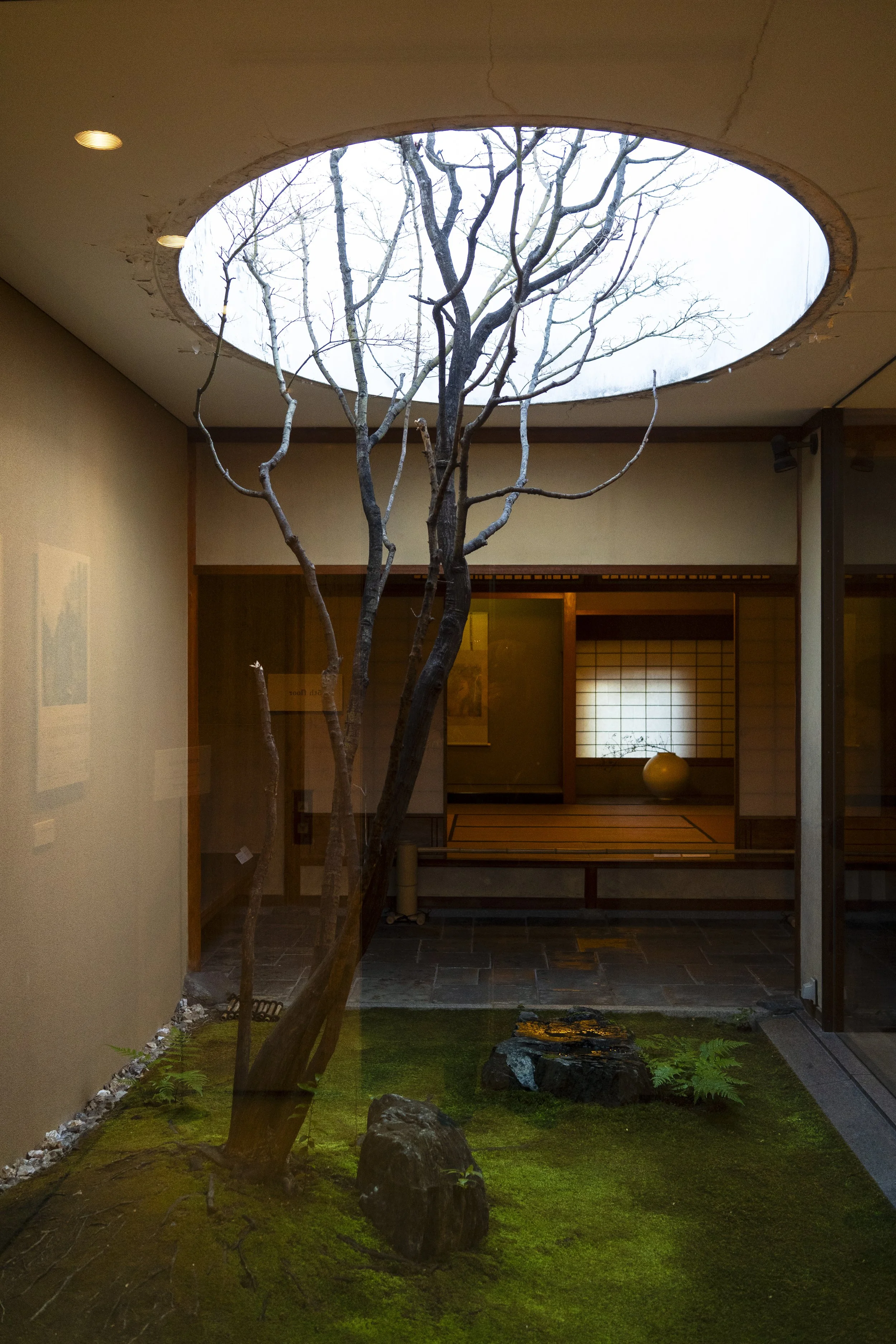 2025-02-18:20 Kyoto 2 (125) copia.jpg