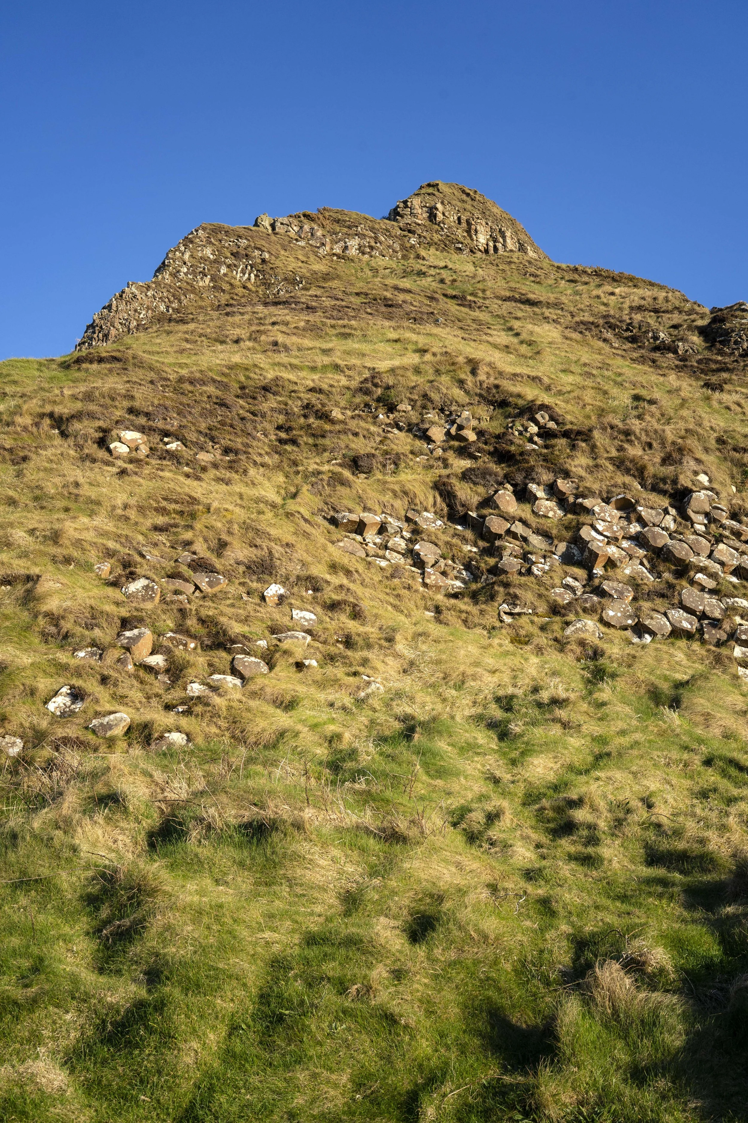 2025-04-03-06 Belfast, Giant's Causeway (190) copia.JPG