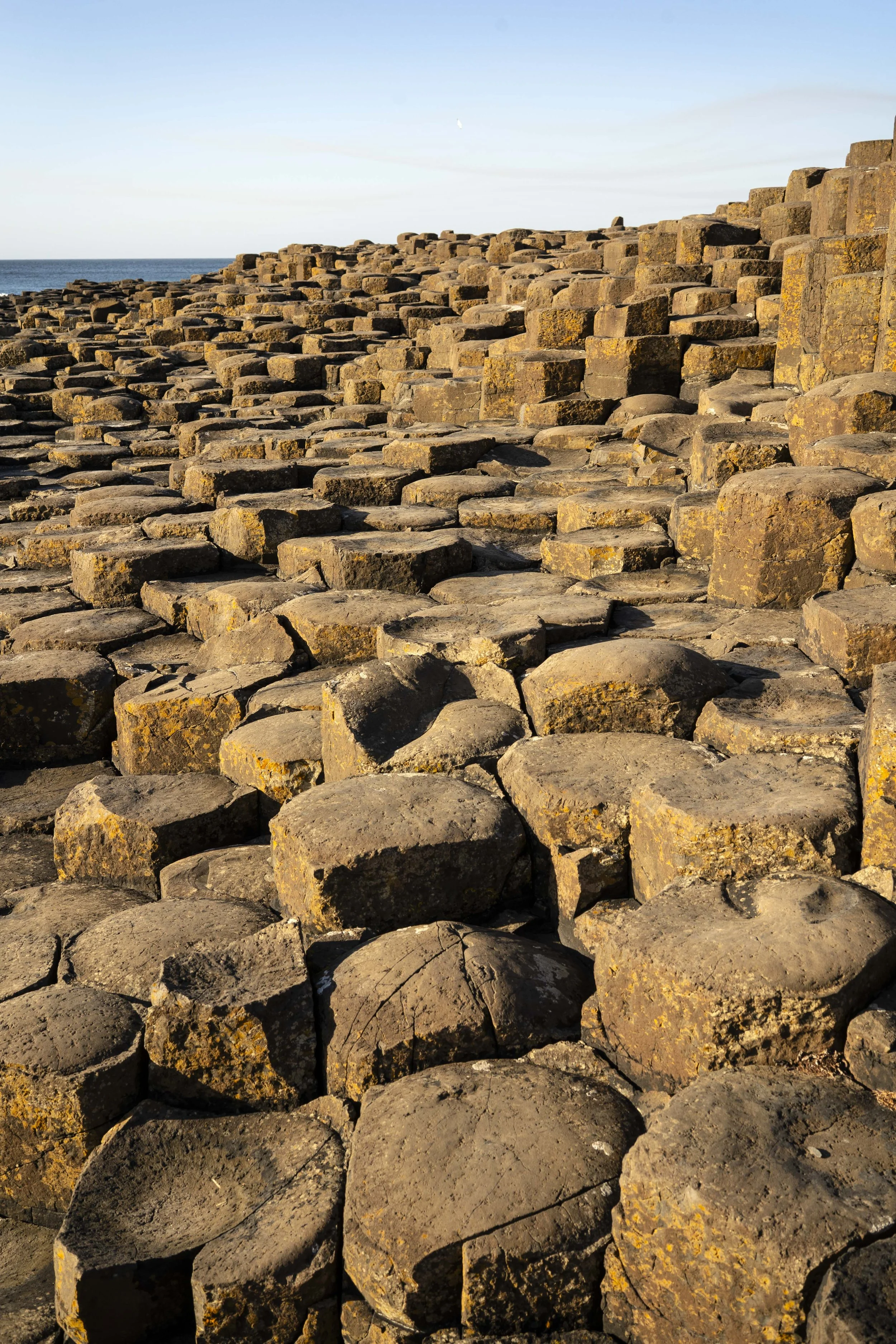2025-04-03-06 Belfast, Giant's Causeway (172) copia.JPG
