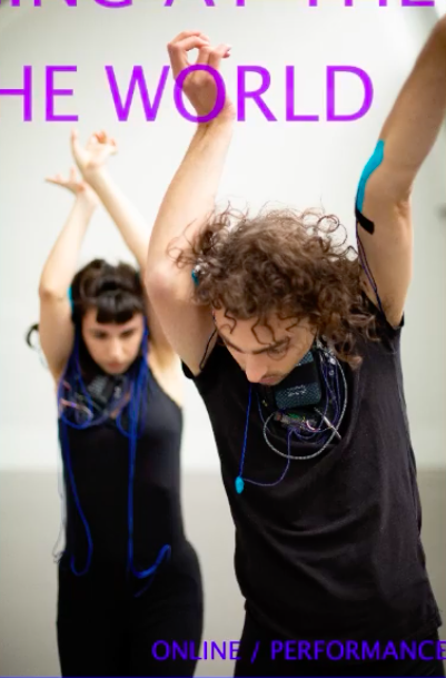 Schermata 2024-02-05 alle 09.34.56.png