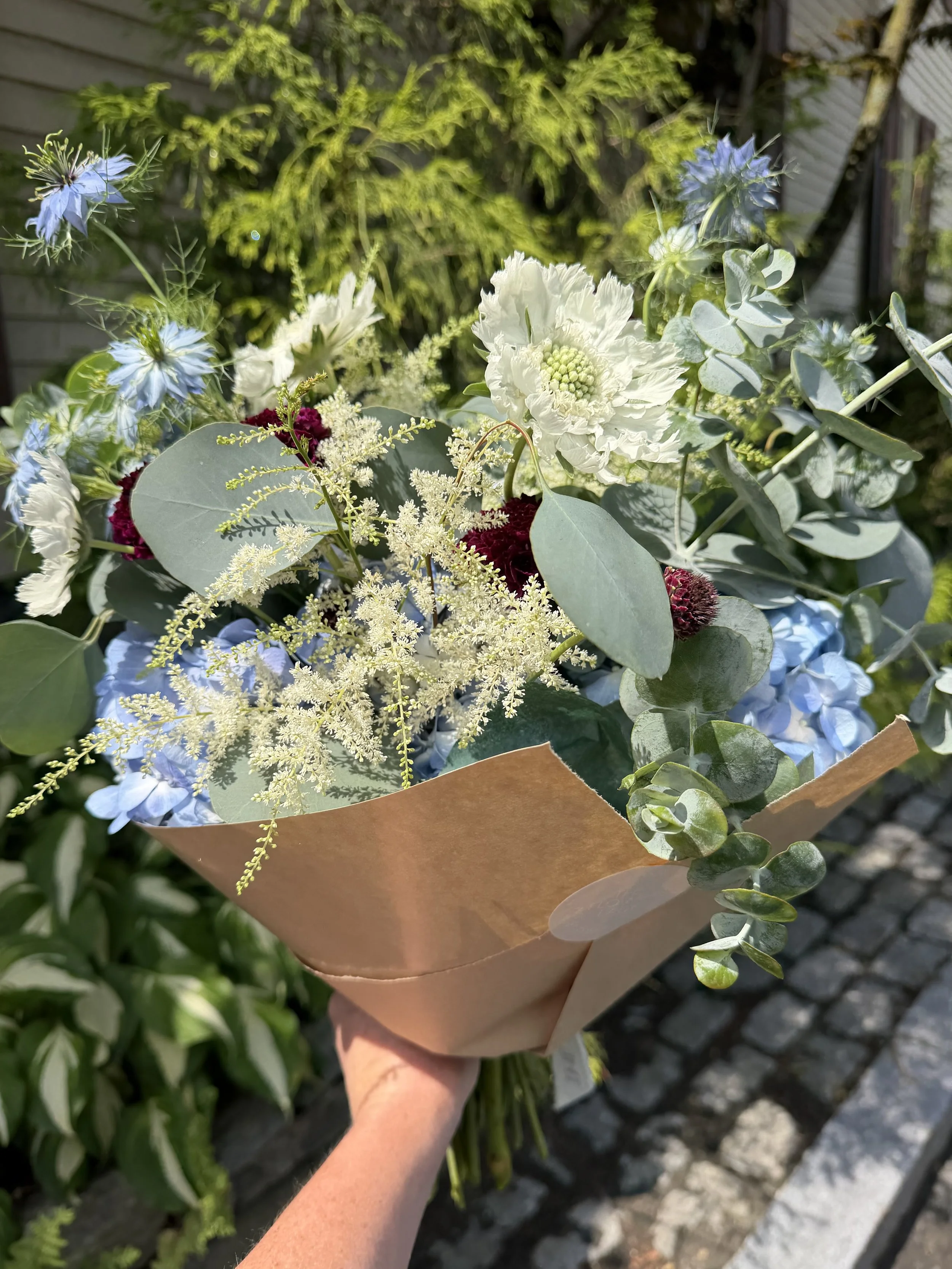 IMG_6184.jpeg