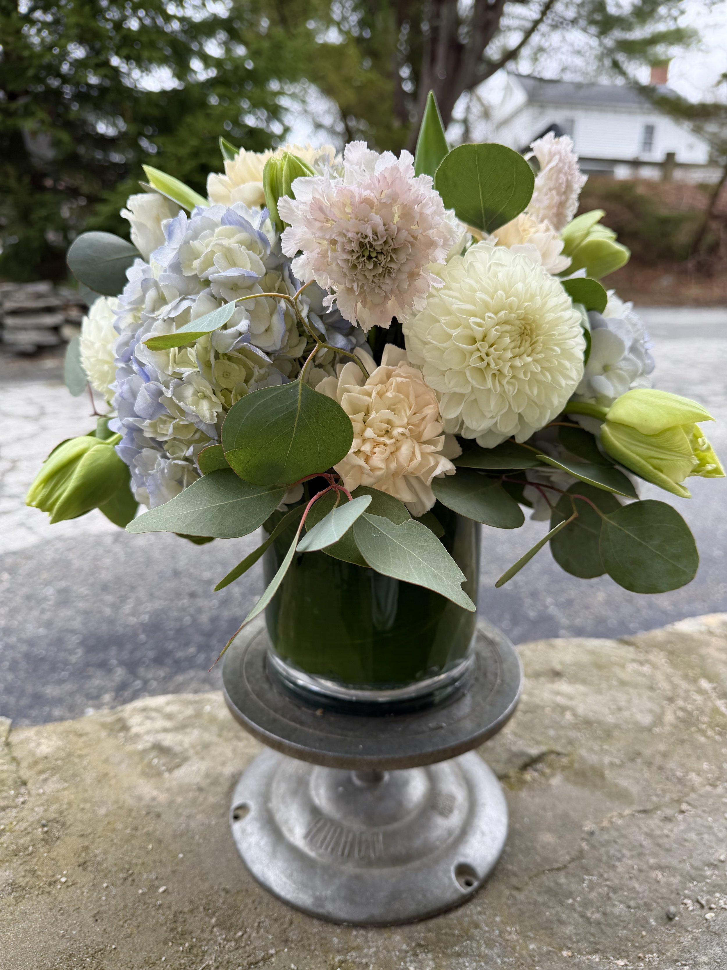 IMG_3564 (1).jpeg