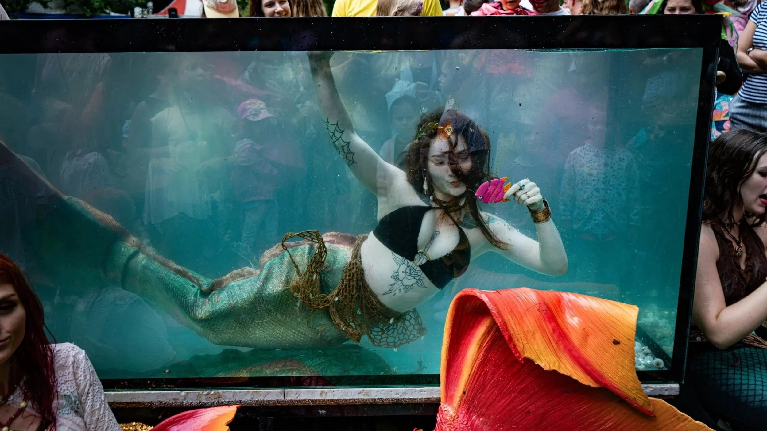 Mořská panna Morana pod vodou během mermaiding vystoupení.