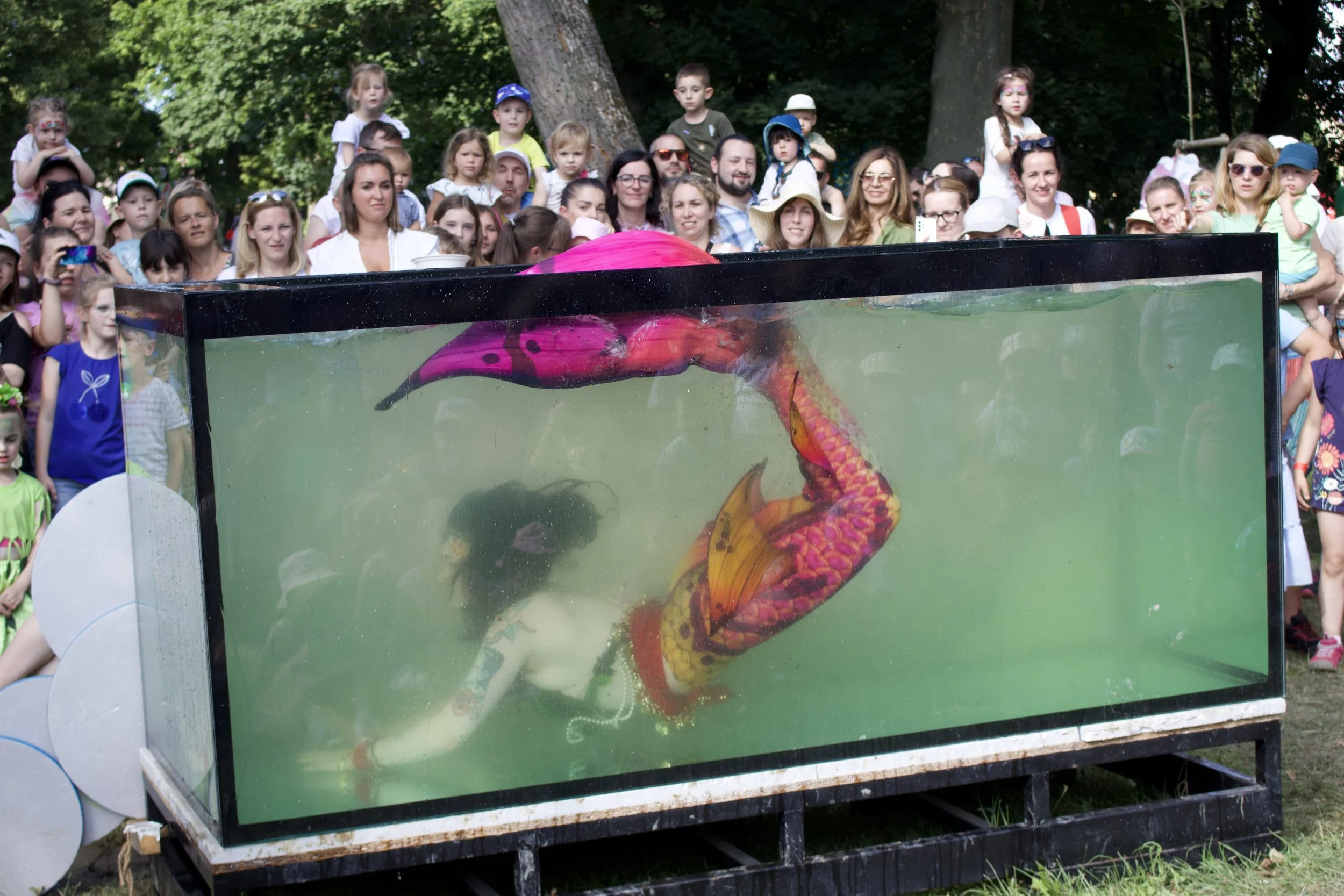 Mořská panna Morana pod vodou během mermaiding vystoupení.