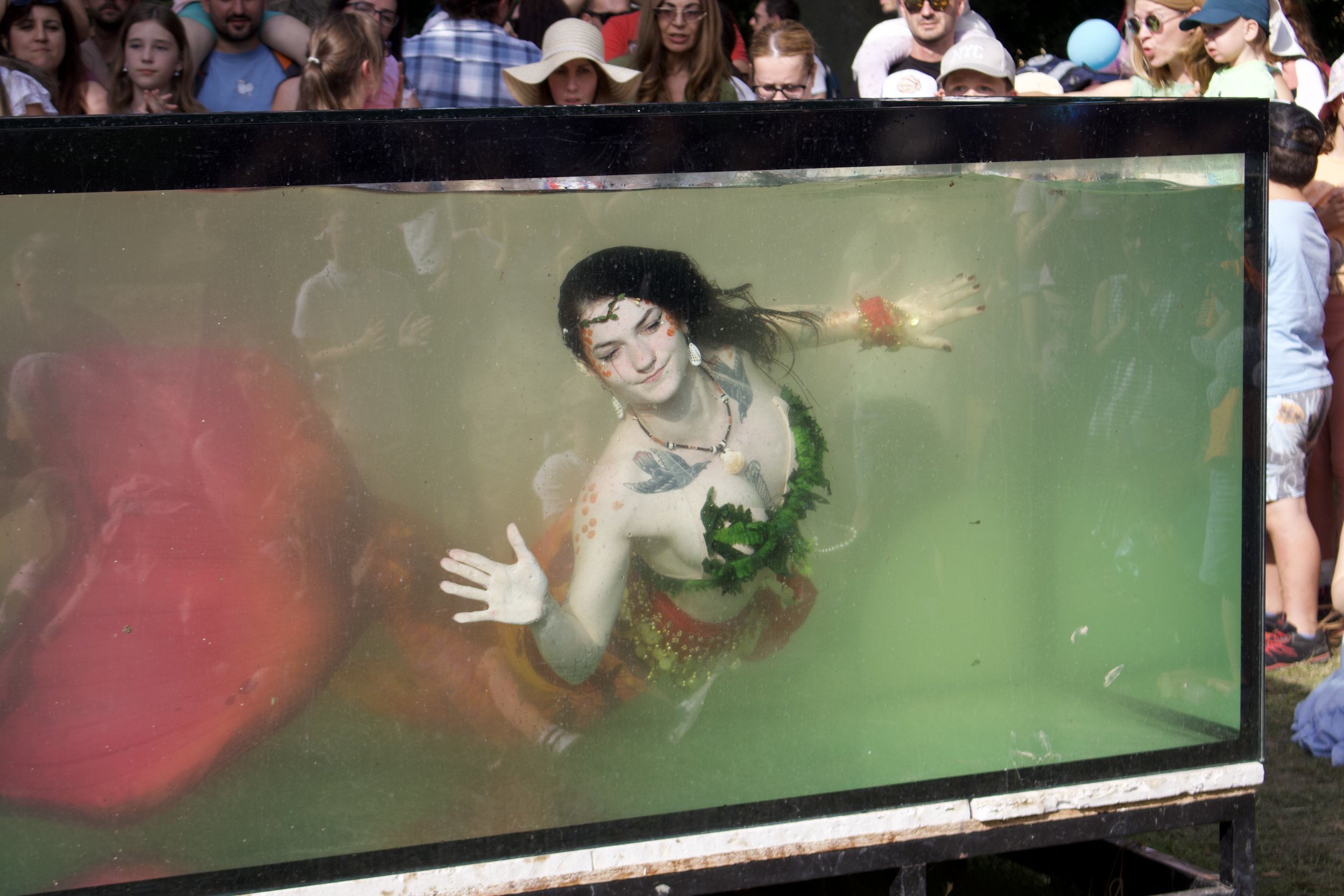 Mořská panna Morana pod vodou během mermaiding vystoupení.
