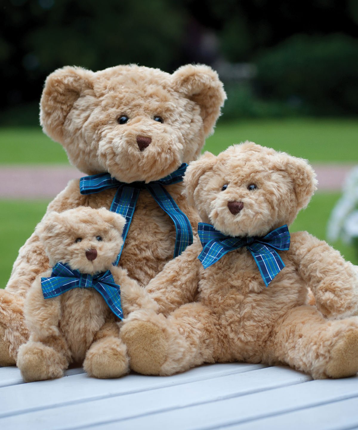 Bracken Bear (Small, Medium & Large)