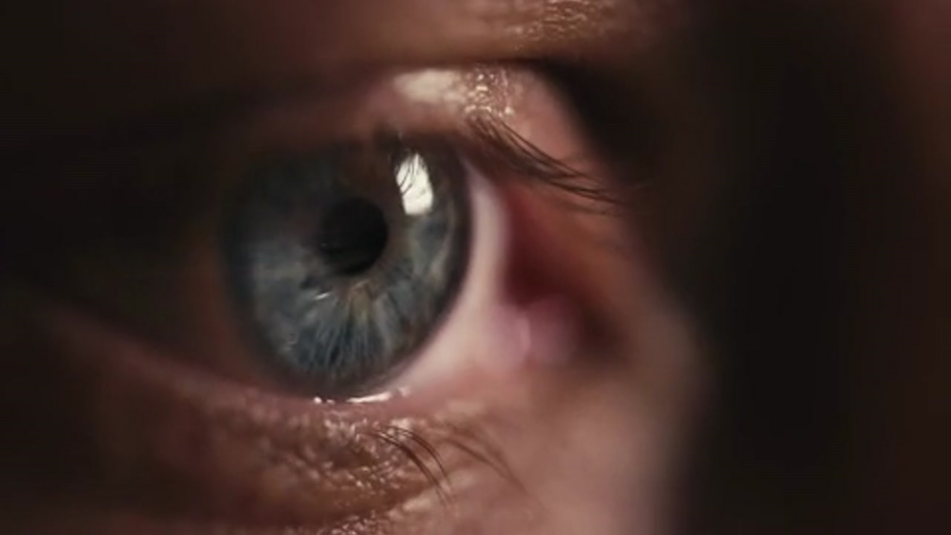 The science behind Motiview