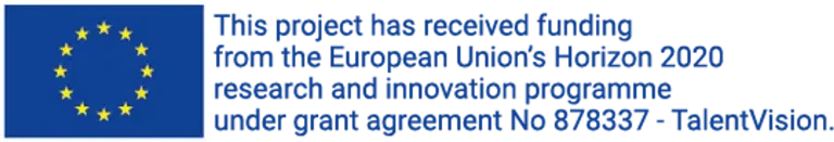 European flag funding Motiview